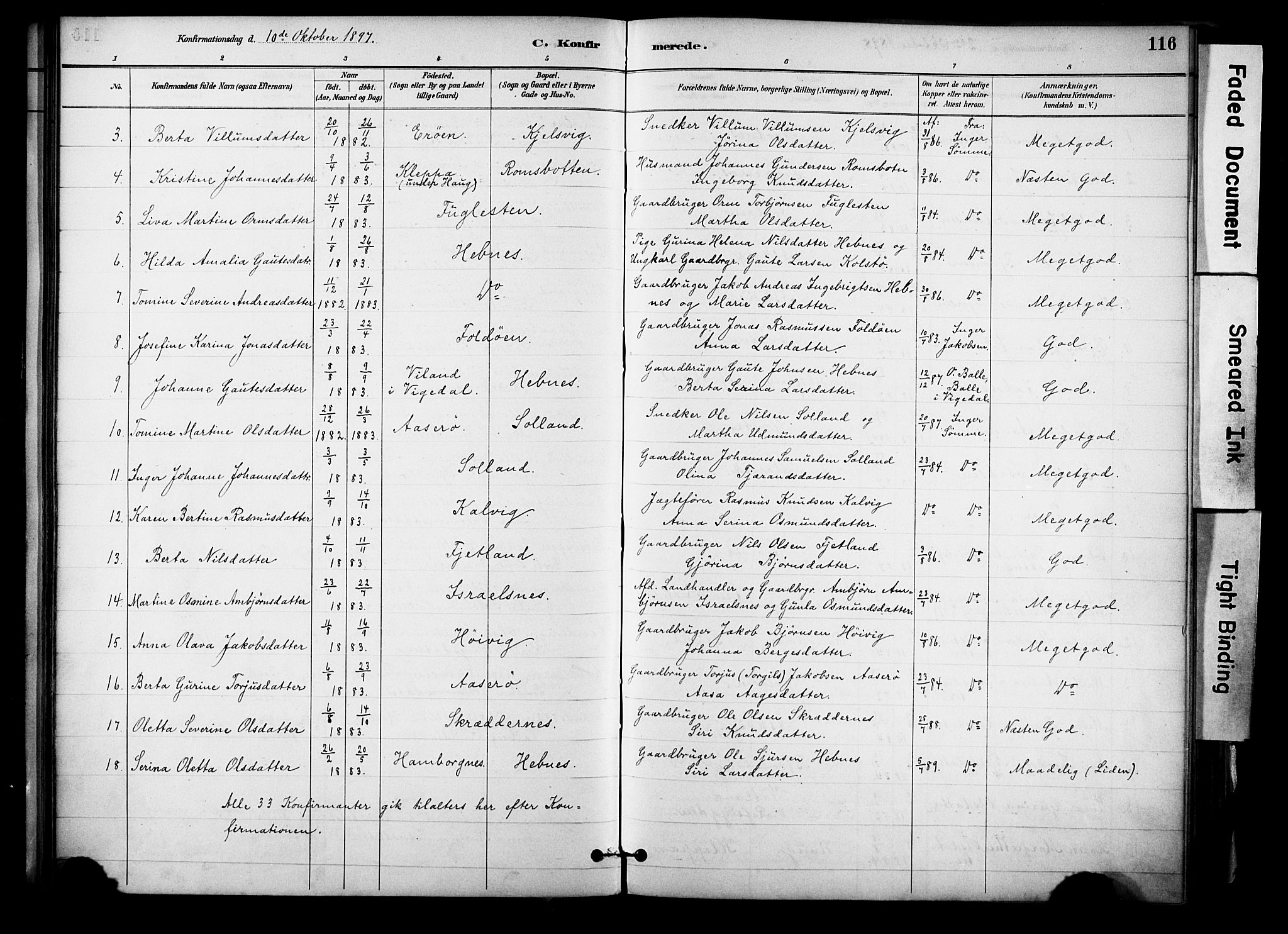 Jelsa sokneprestkontor, AV/SAST-A-101842/01/IV: Parish register (official) no. A 10, 1884-1906, p. 116