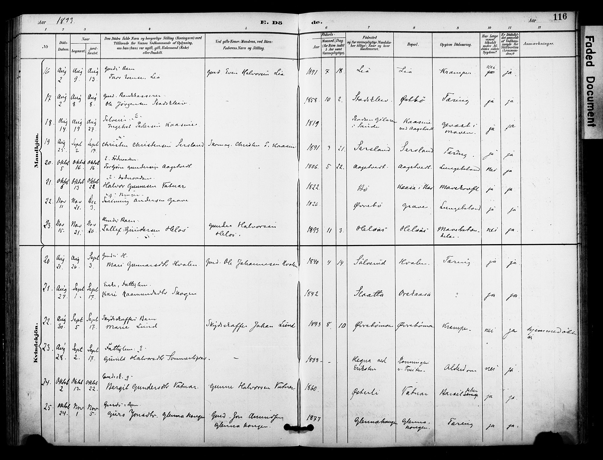 Bø kirkebøker, AV/SAKO-A-257/F/Fa/L0011: Parish register (official) no. 11, 1892-1900, p. 116