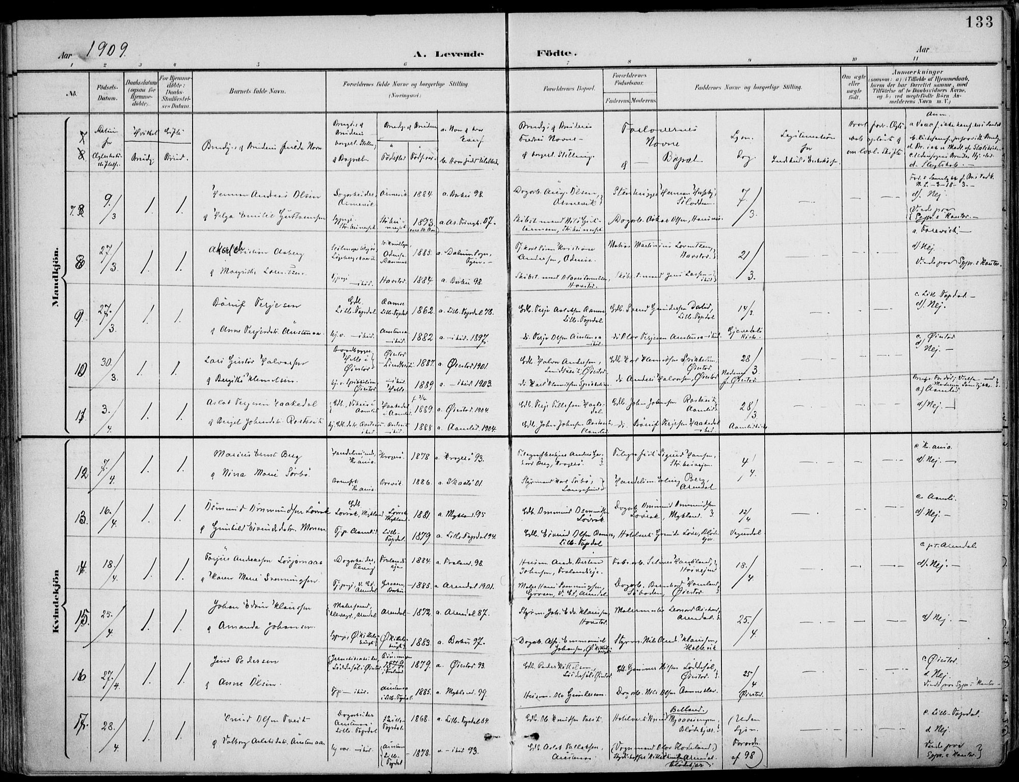 Barbu sokneprestkontor, AV/SAK-1111-0003/F/Fa/L0005: Parish register (official) no. A 5, 1899-1909, p. 133