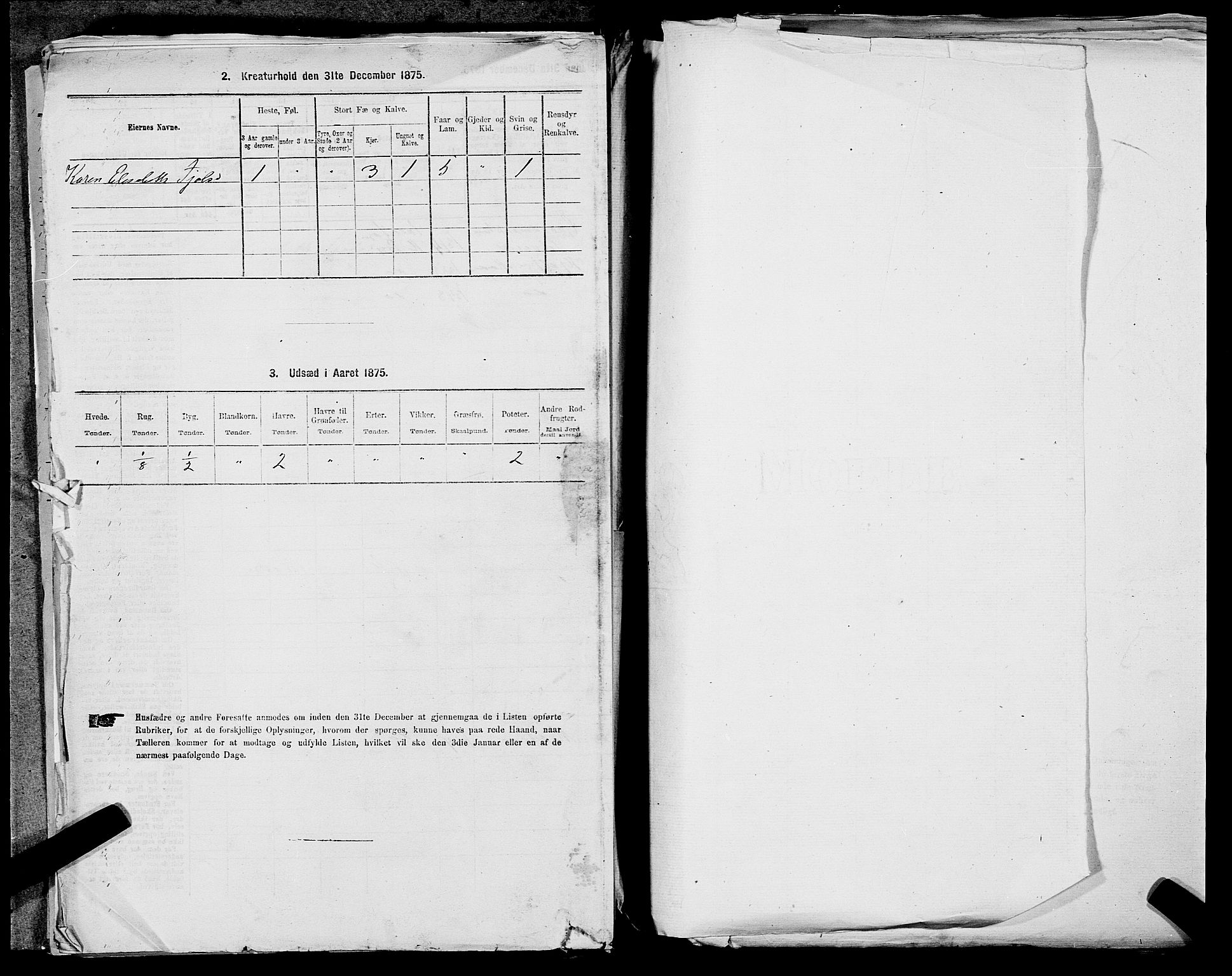 SAST, 1875 census for 1124P Håland, 1875, p. 229