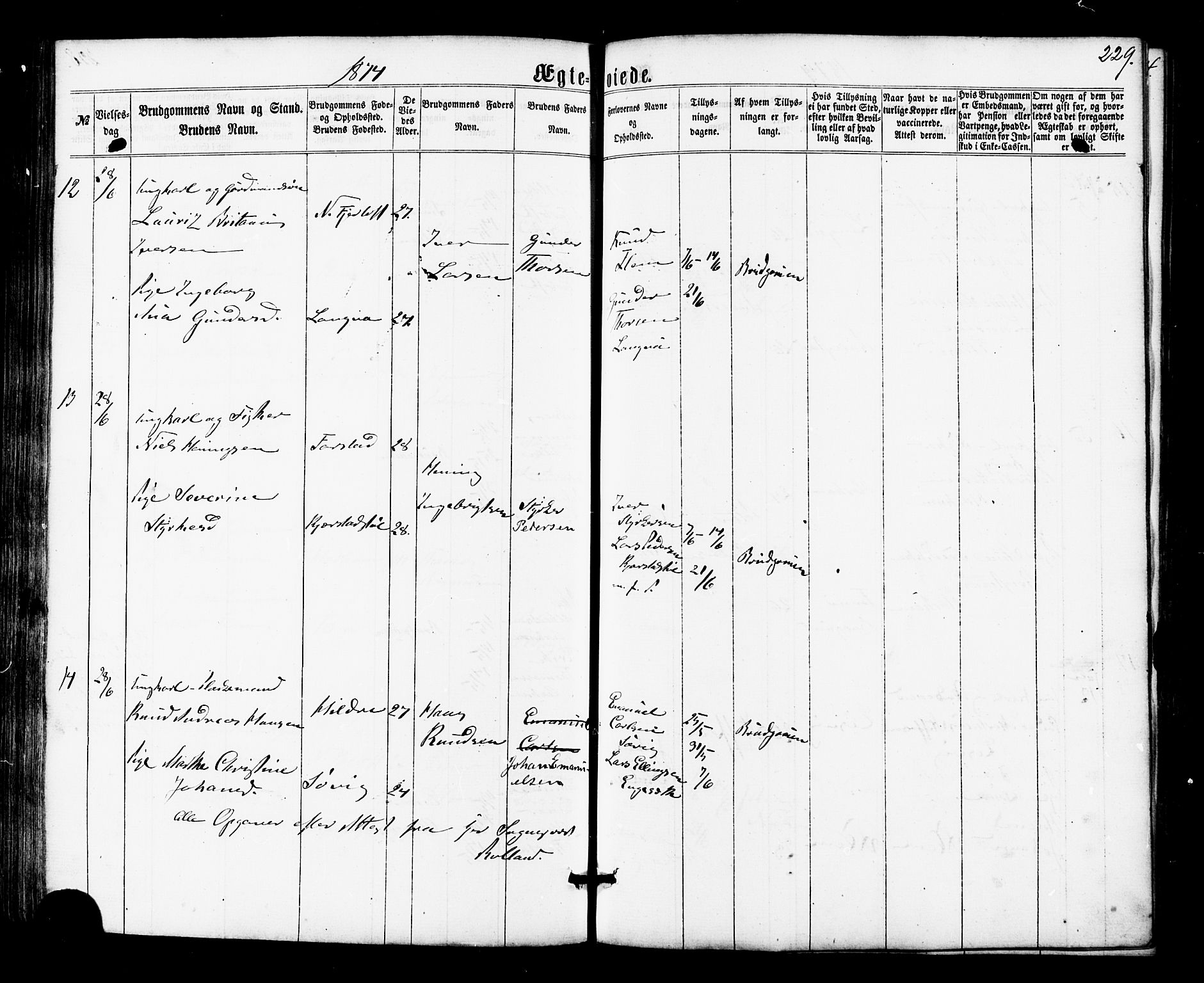 Ministerialprotokoller, klokkerbøker og fødselsregistre - Møre og Romsdal, AV/SAT-A-1454/536/L0498: Parish register (official) no. 536A07, 1862-1875, p. 229