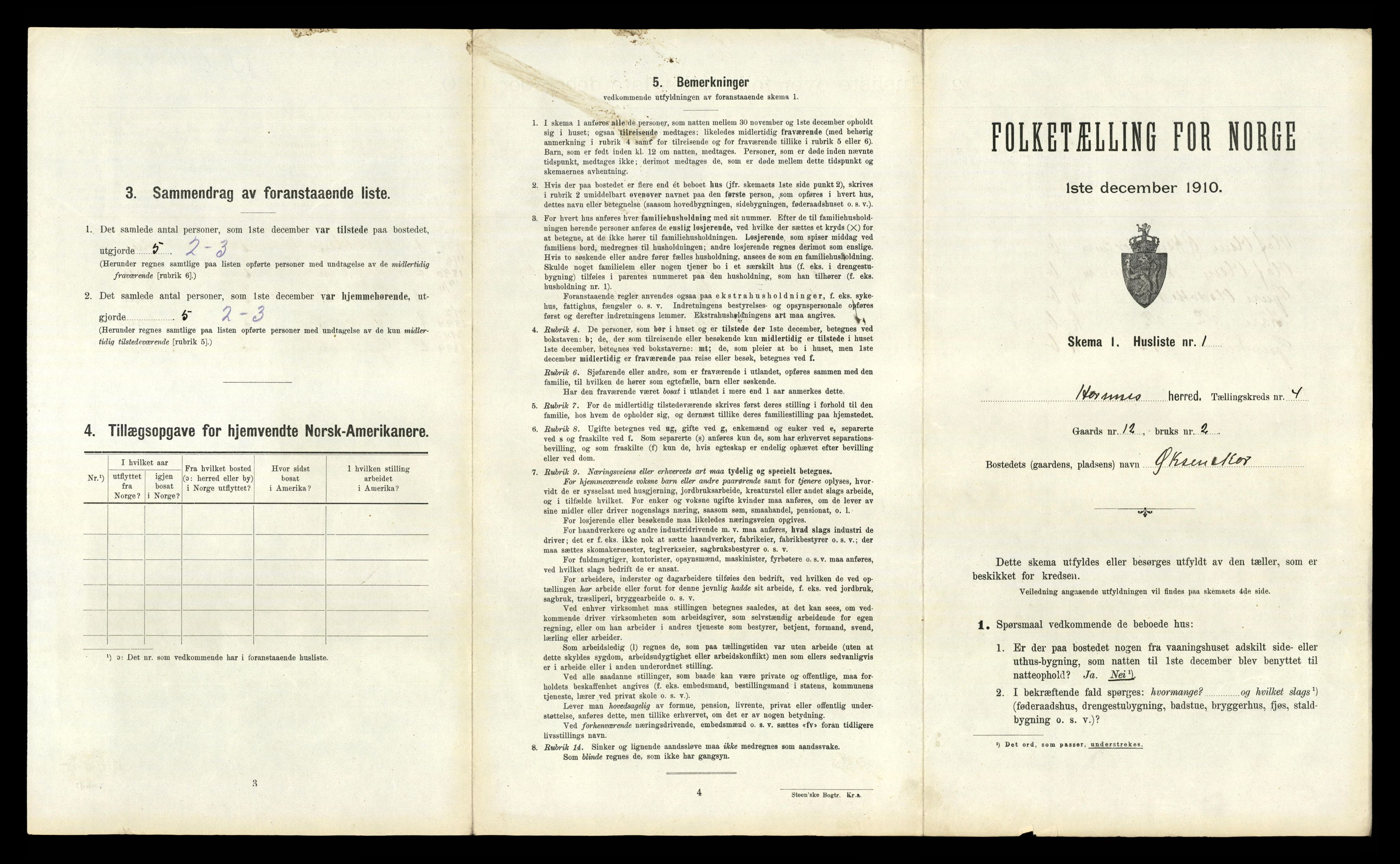 RA, 1910 census for Hornnes, 1910, p. 218