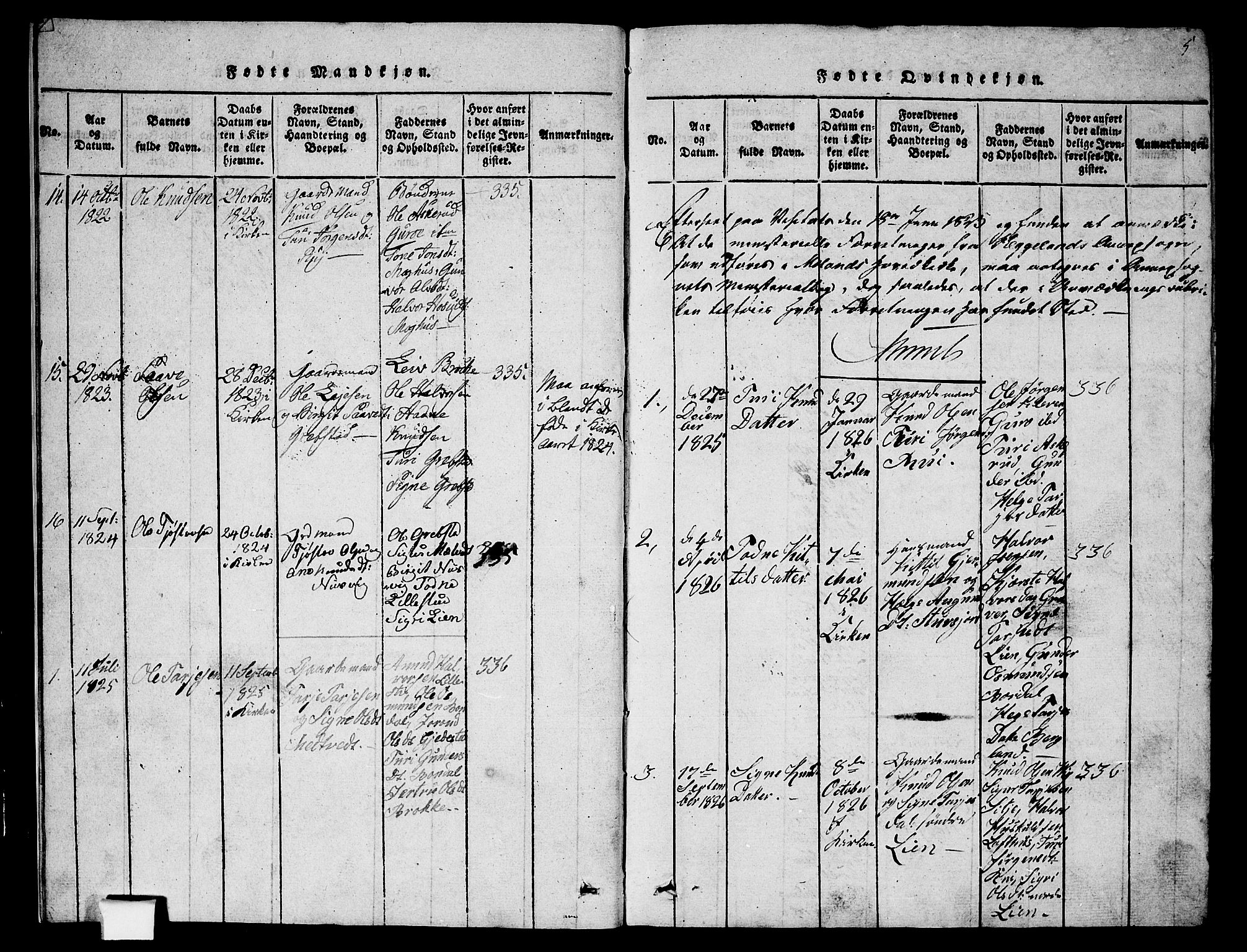 Fyresdal kirkebøker, SAKO/A-263/G/Ga/L0002: Parish register (copy) no. I 2, 1815-1857, p. 5