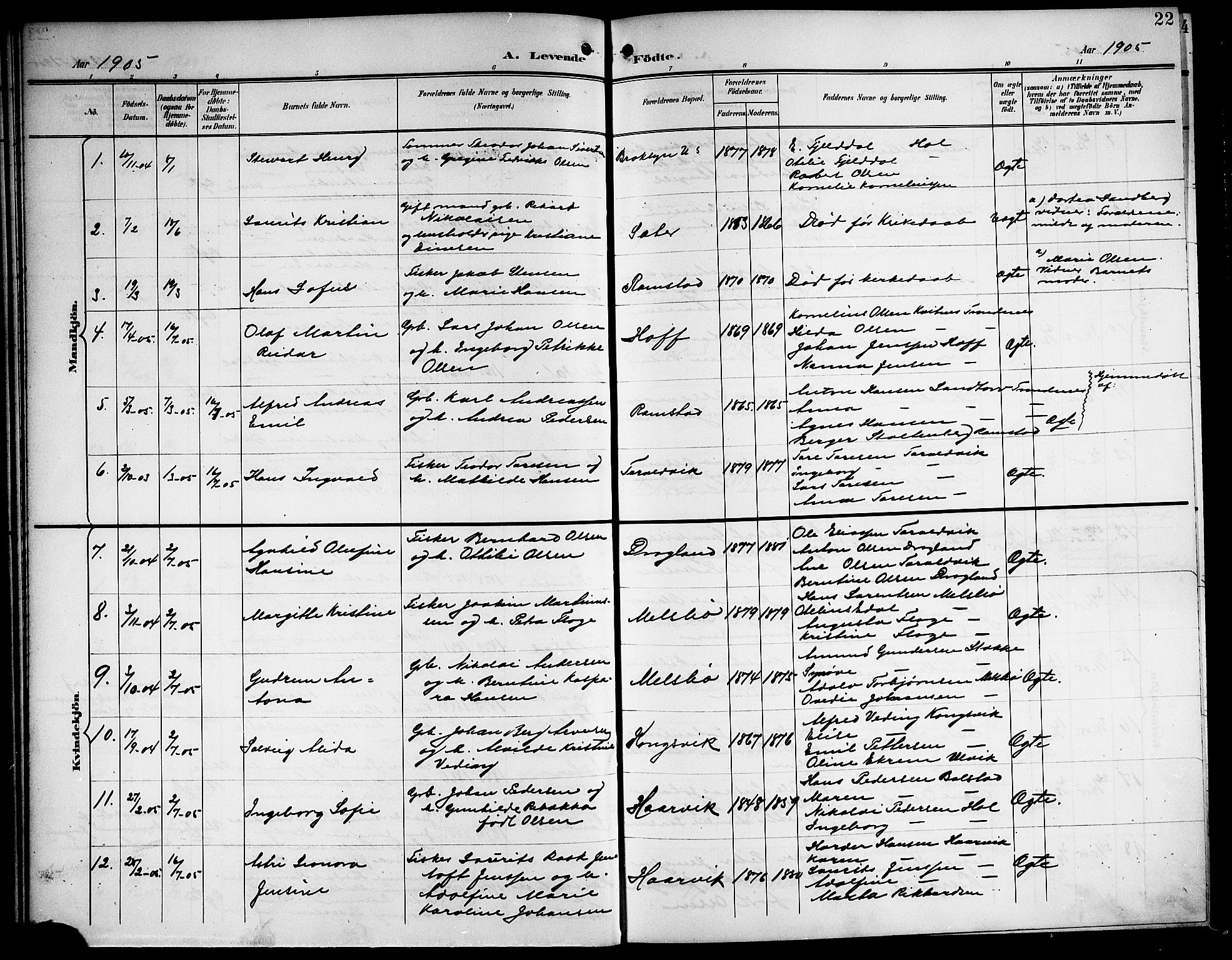 Ministerialprotokoller, klokkerbøker og fødselsregistre - Nordland, AV/SAT-A-1459/865/L0932: Parish register (copy) no. 865C04, 1901-1917, p. 22