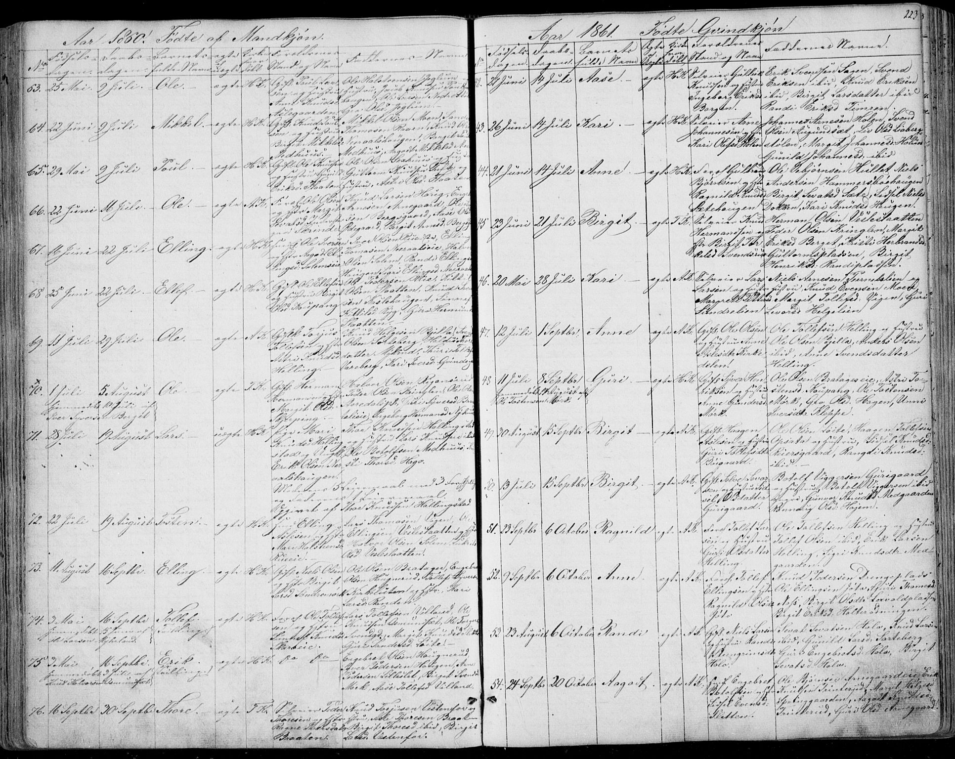 Ål kirkebøker, AV/SAKO-A-249/F/Fa/L0006: Parish register (official) no. I 6, 1849-1864, p. 223