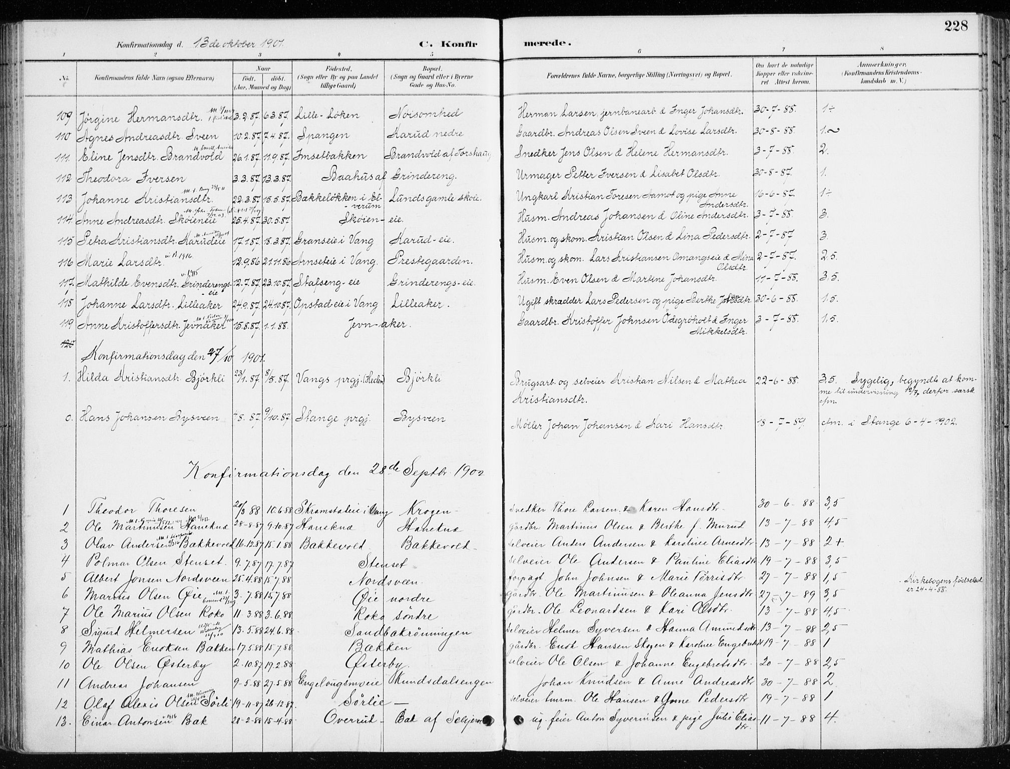 Løten prestekontor, SAH/PREST-022/K/Ka/L0010: Parish register (official) no. 10, 1892-1907, p. 228