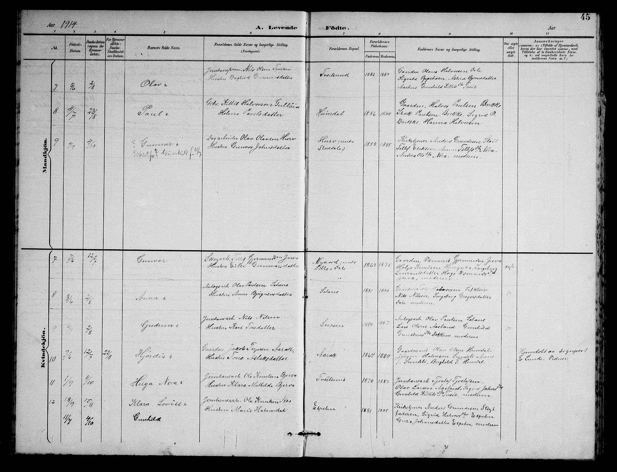 Nissedal kirkebøker, SAKO/A-288/G/Gb/L0003: Parish register (copy) no. II 3, 1893-1928, p. 45