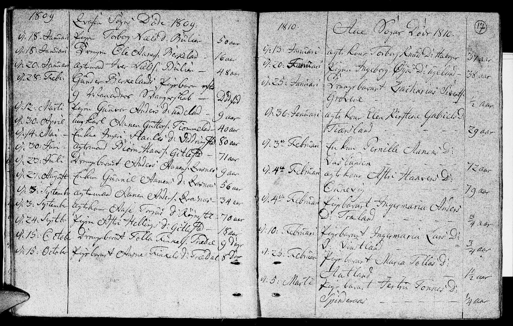 Lyngdal sokneprestkontor, SAK/1111-0029/F/Fa/Fac/L0005: Parish register (official) no. A 5, 1804-1815, p. 17