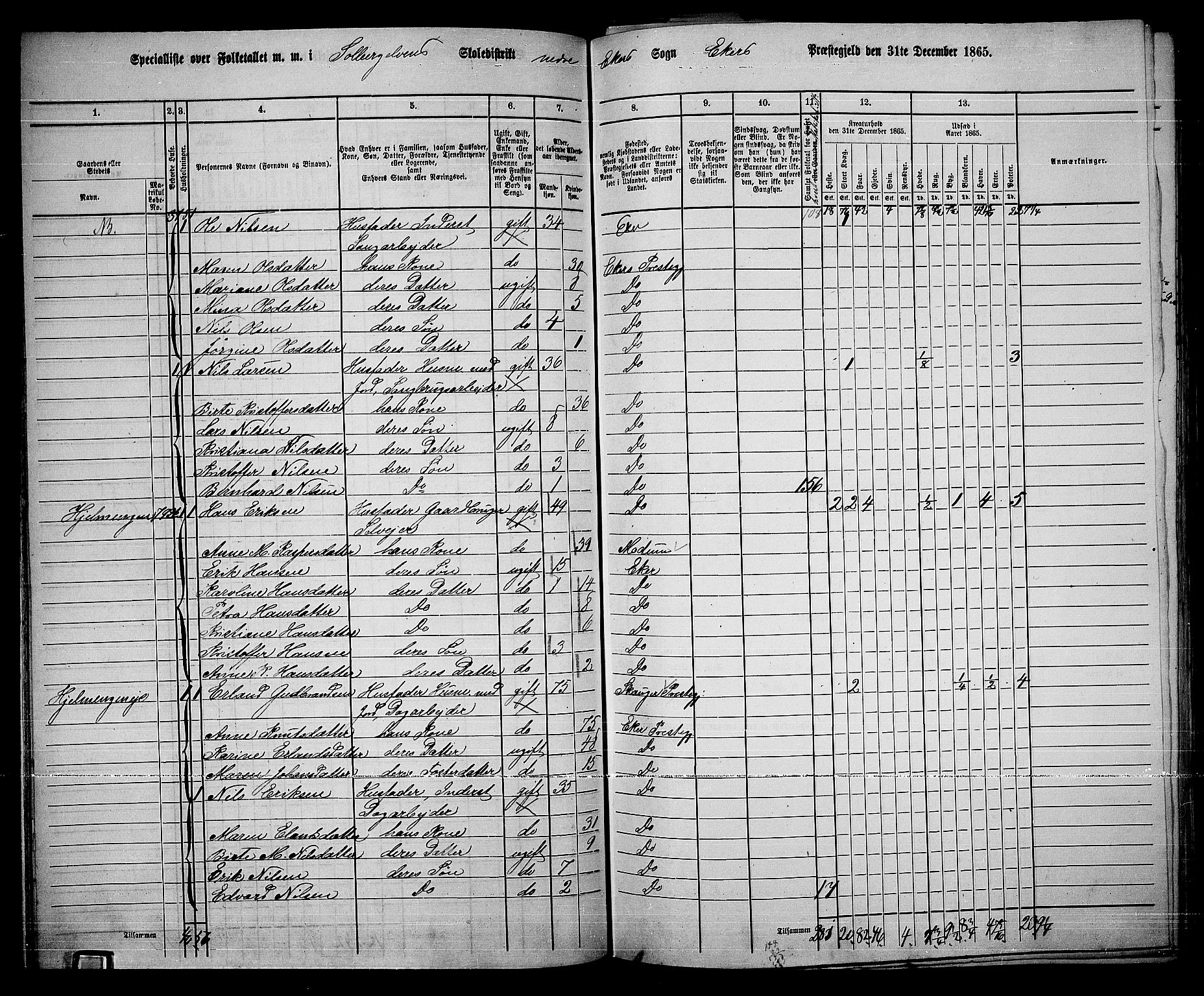 RA, 1865 census for Eiker, 1865, p. 349