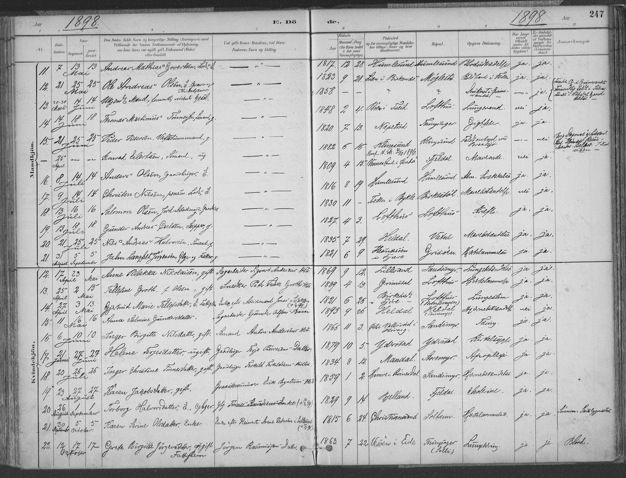 Vestre Moland sokneprestkontor, AV/SAK-1111-0046/F/Fa/Fab/L0009: Parish register (official) no. A 9, 1884-1899, p. 247