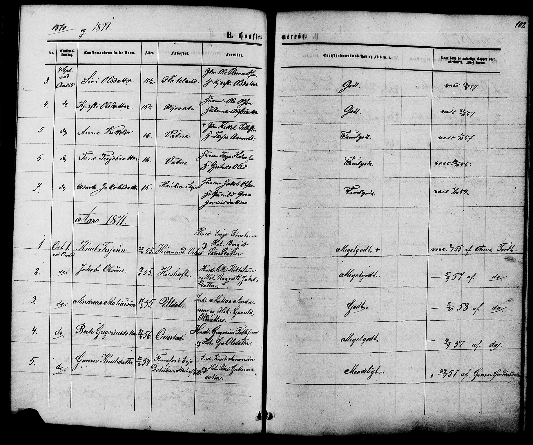 Herefoss sokneprestkontor, AV/SAK-1111-0019/F/Fb/Fbc/L0002: Parish register (copy) no. B 2, 1867-1886, p. 102