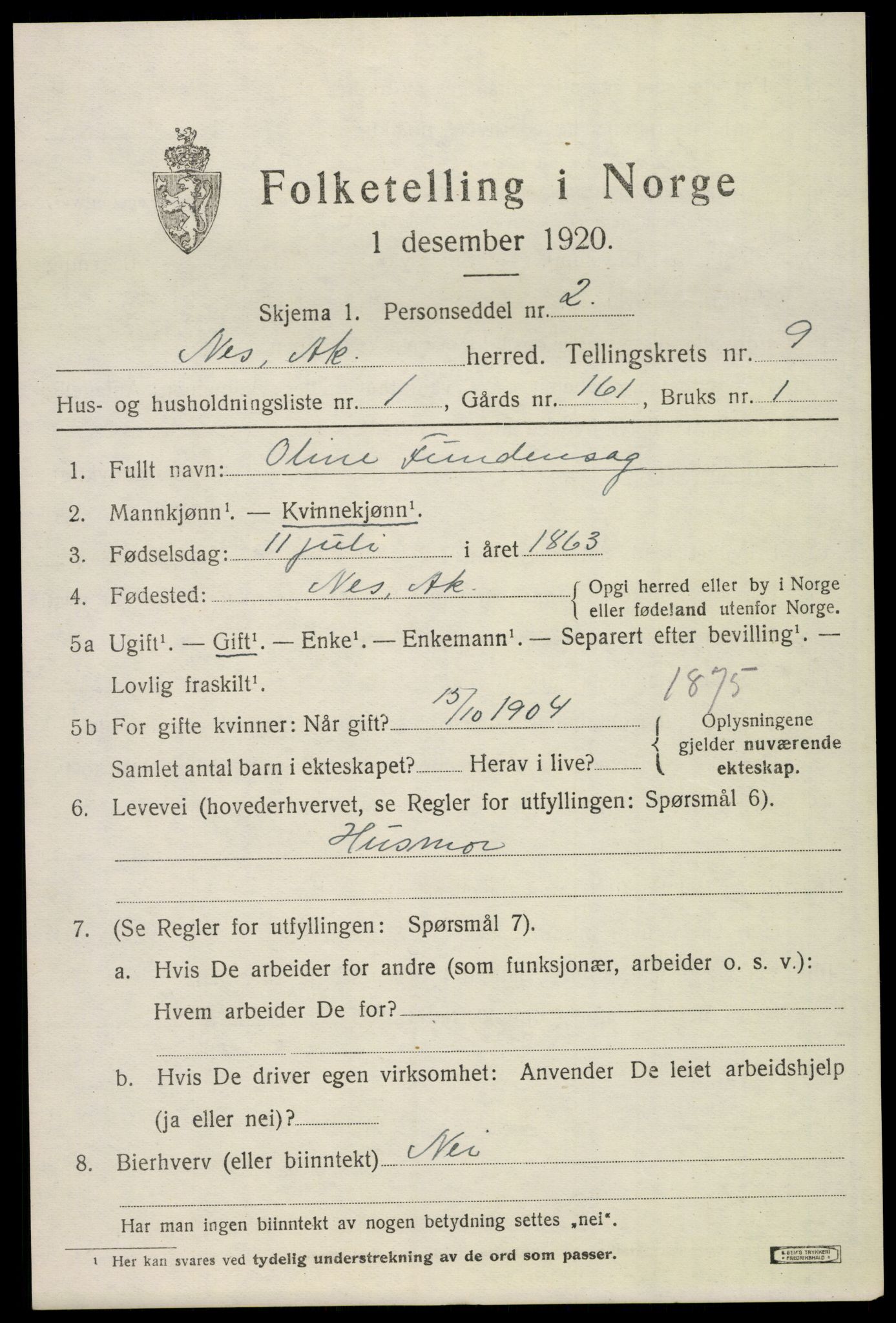 SAO, 1920 census for Nes, 1920, p. 9920