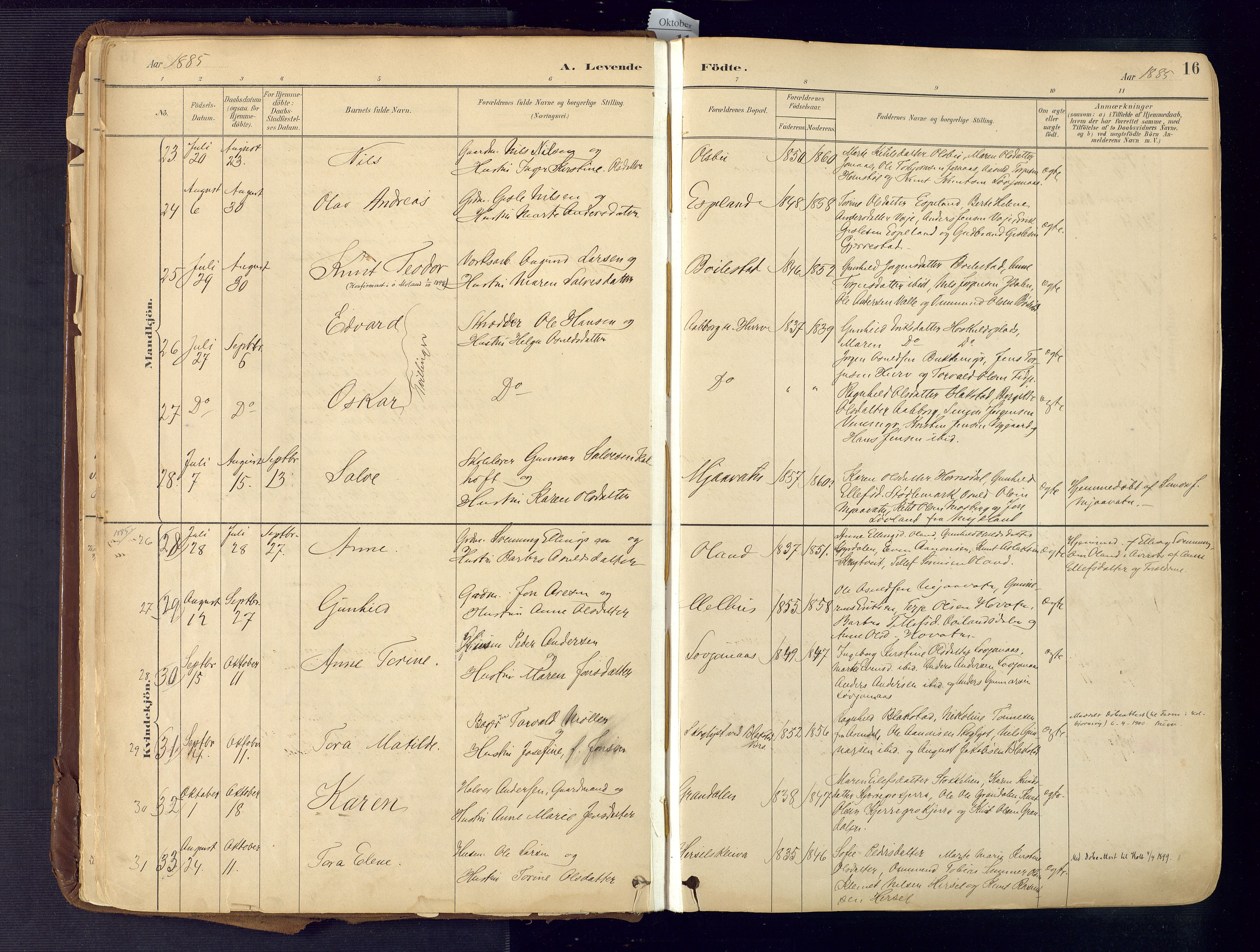 Froland sokneprestkontor, AV/SAK-1111-0013/F/Fa/L0005: Parish register (official) no. A 5, 1882-1921, p. 16