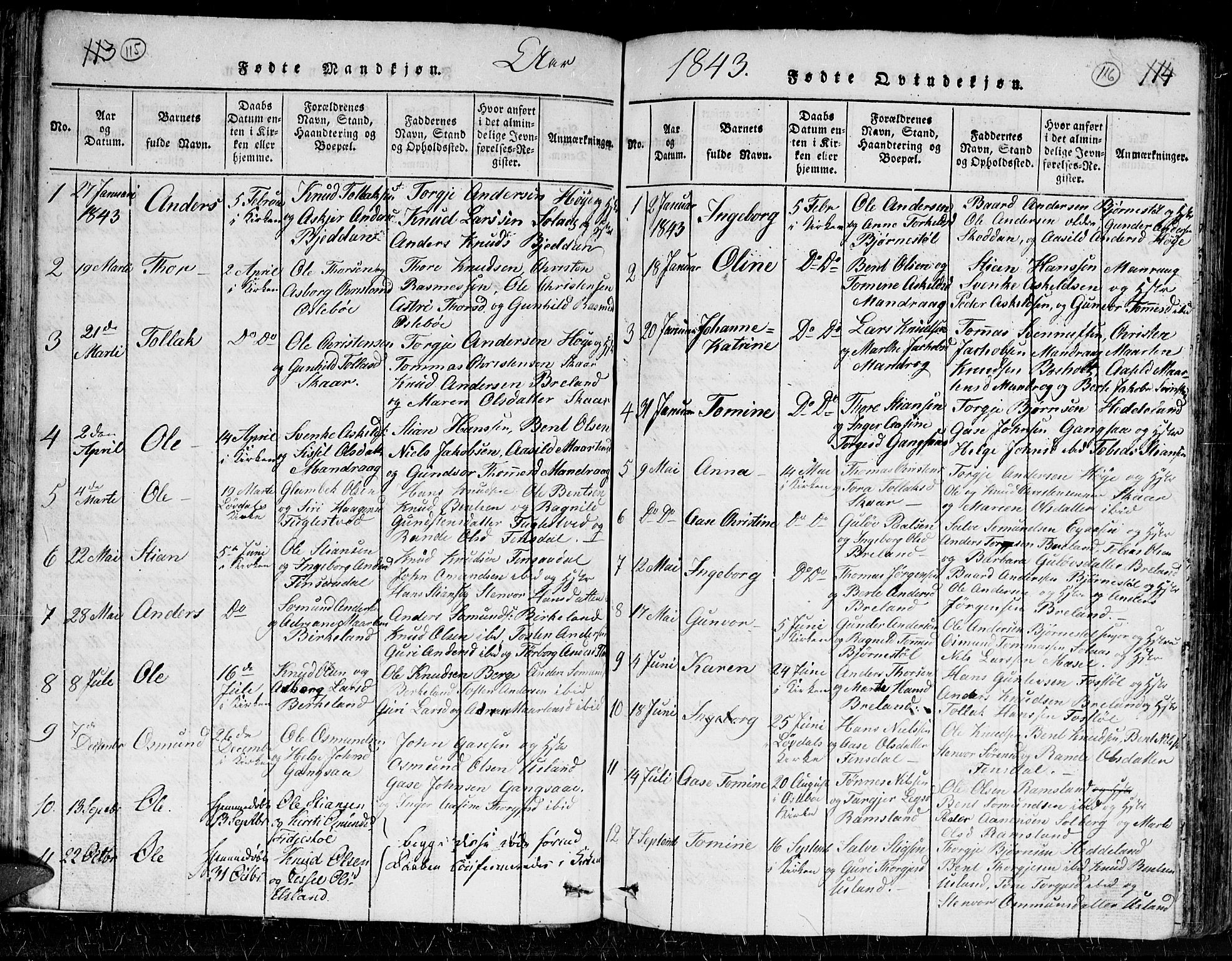 Holum sokneprestkontor, AV/SAK-1111-0022/F/Fb/Fbc/L0001: Parish register (copy) no. B 1, 1820-1859, p. 115-116