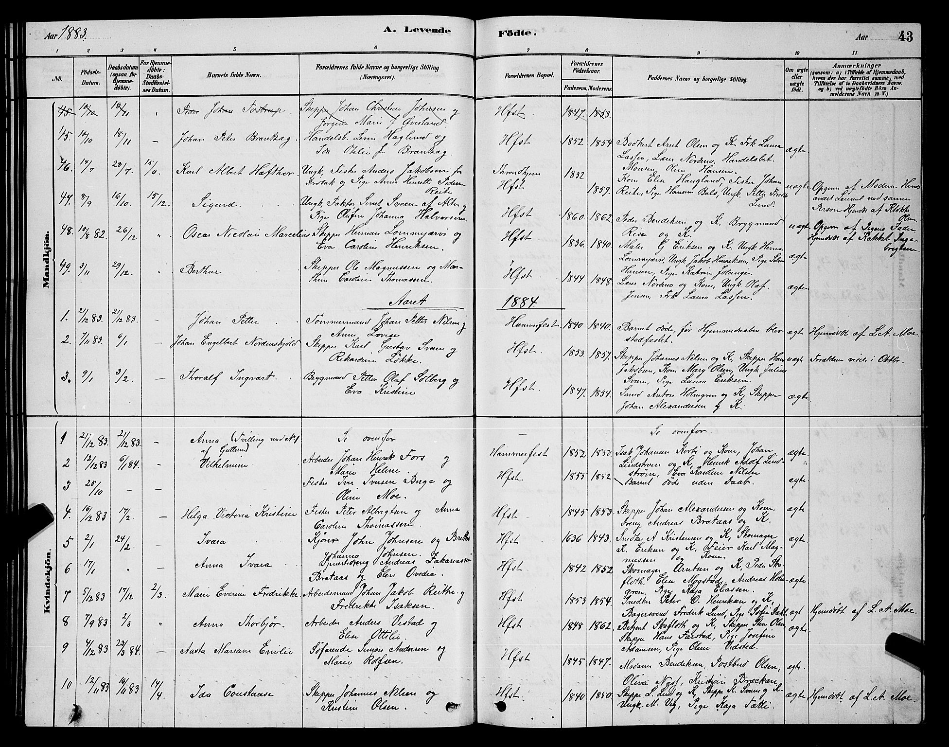 Hammerfest sokneprestkontor, AV/SATØ-S-1347/H/Hb/L0006.klokk: Parish register (copy) no. 6, 1876-1884, p. 43