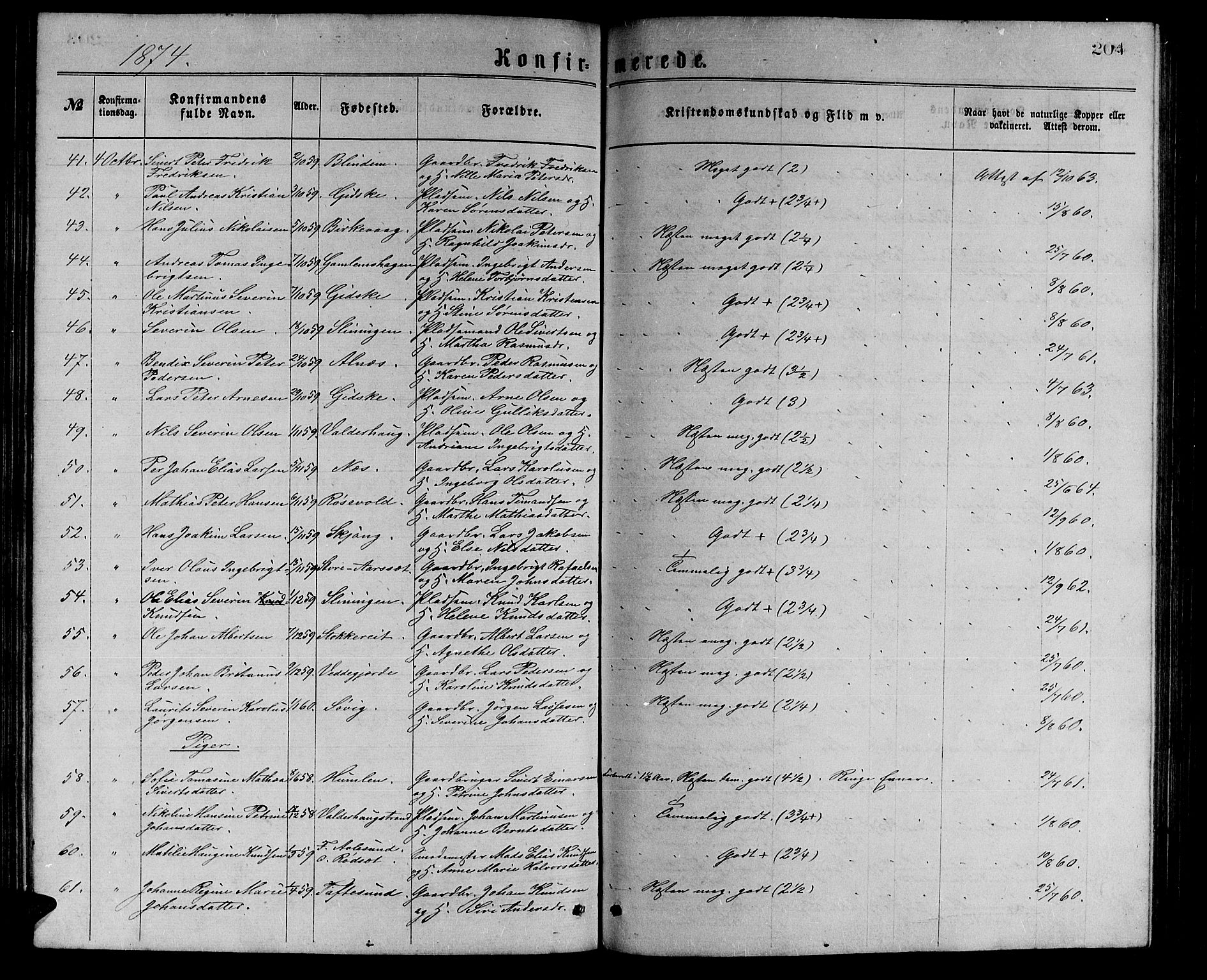 Ministerialprotokoller, klokkerbøker og fødselsregistre - Møre og Romsdal, AV/SAT-A-1454/528/L0429: Parish register (copy) no. 528C10, 1872-1886, p. 204