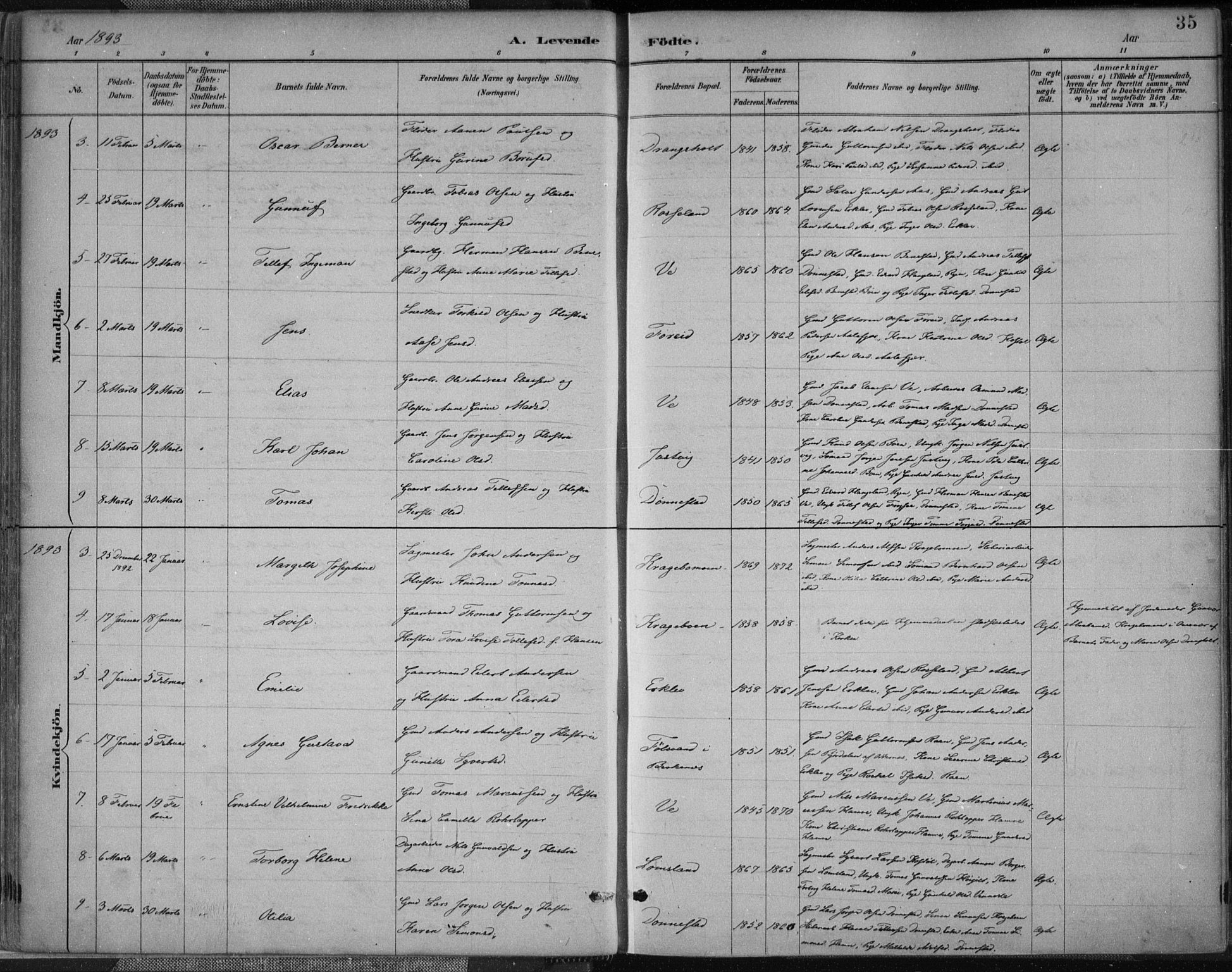 Tveit sokneprestkontor, SAK/1111-0043/F/Fa/L0007: Parish register (official) no. A 7, 1887-1908, p. 35