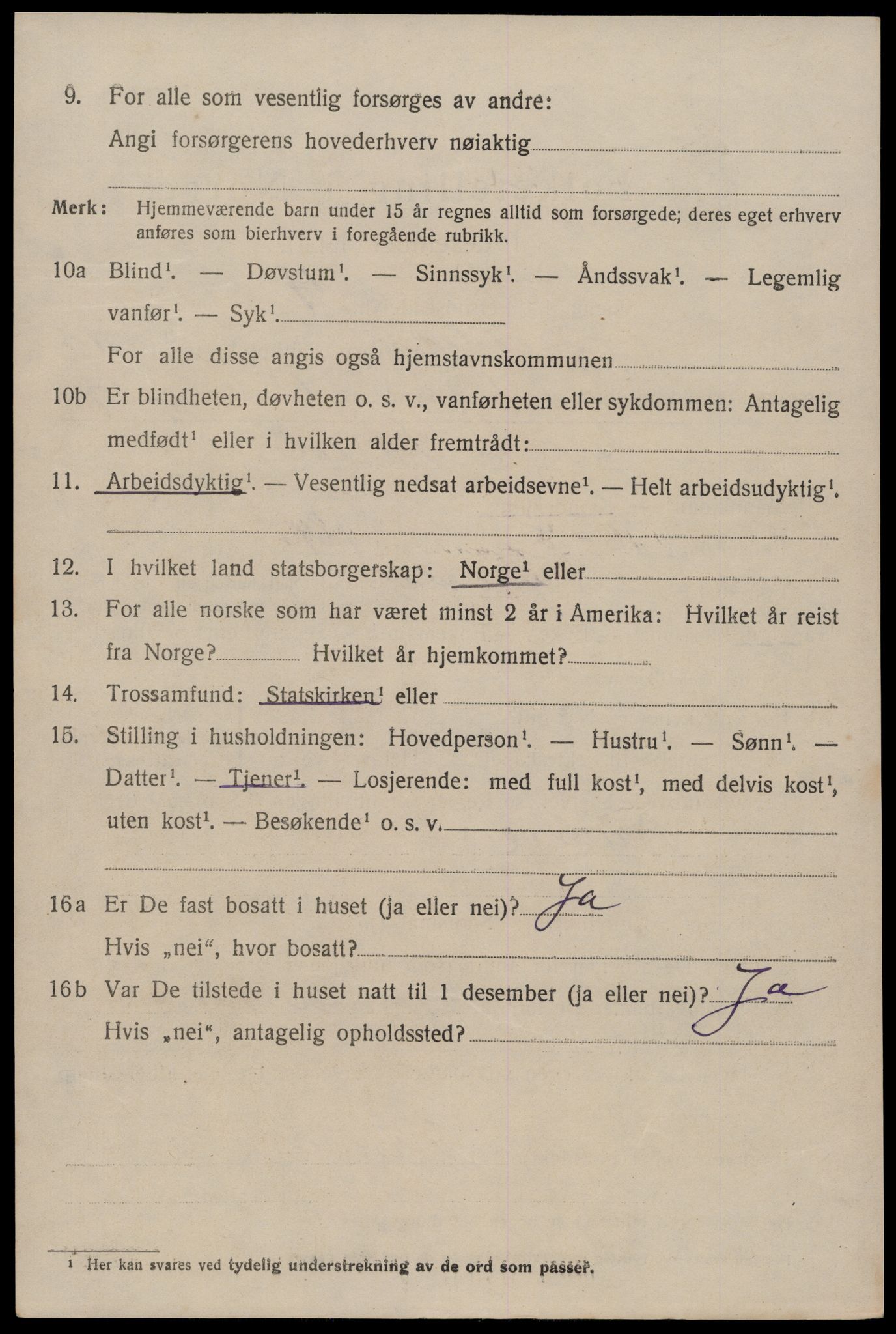 SAKO, 1920 census for Fyresdal, 1920, p. 4036