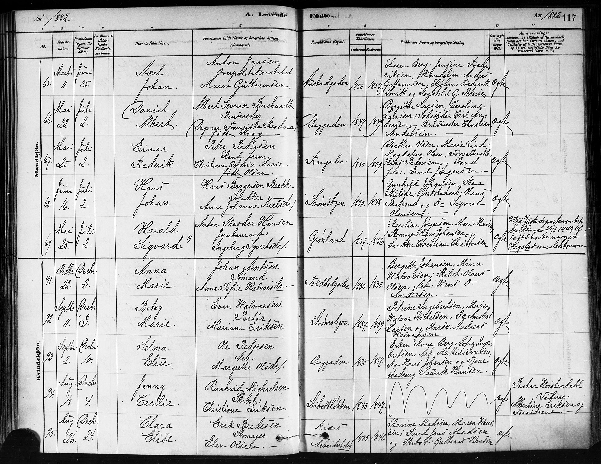 Strømsø kirkebøker, SAKO/A-246/F/Fa/L0021: Parish register (official) no. I 21, 1878-1885, p. 117
