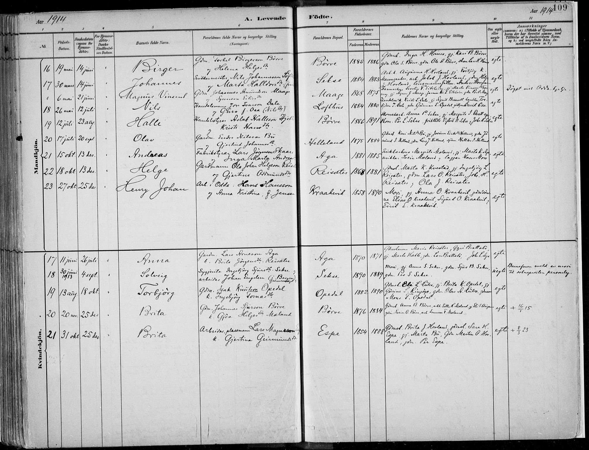 Ullensvang sokneprestembete, AV/SAB-A-78701/H/Haa: Parish register (official) no. B  1, 1882-1918, p. 109