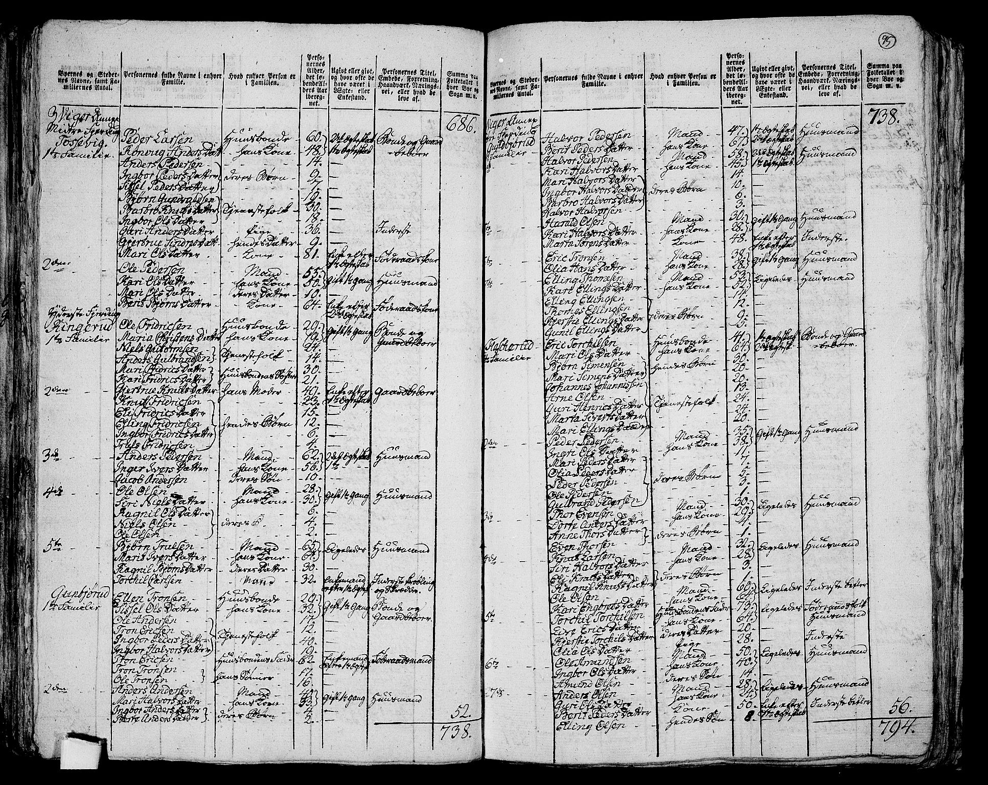 RA, 1801 census for 0613P Norderhov, 1801, p. 94b-95a