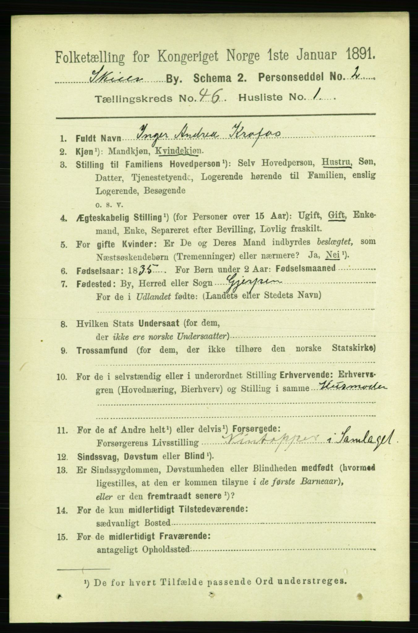 RA, 1891 census for 0806 Skien, 1891, p. 9138