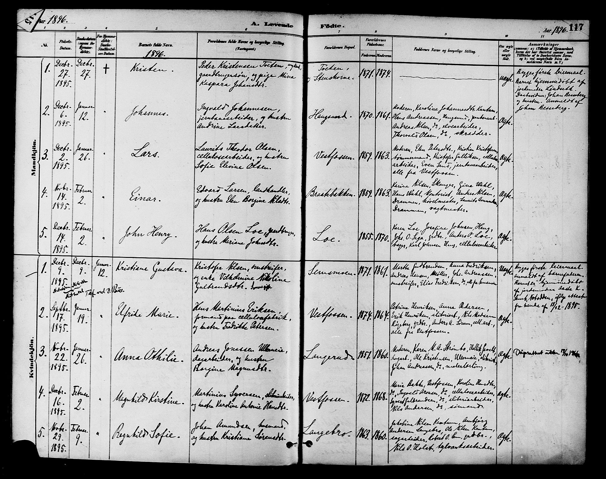 Eiker kirkebøker, SAKO/A-4/F/Fb/L0002: Parish register (official) no. II 2, 1889-1896, p. 116