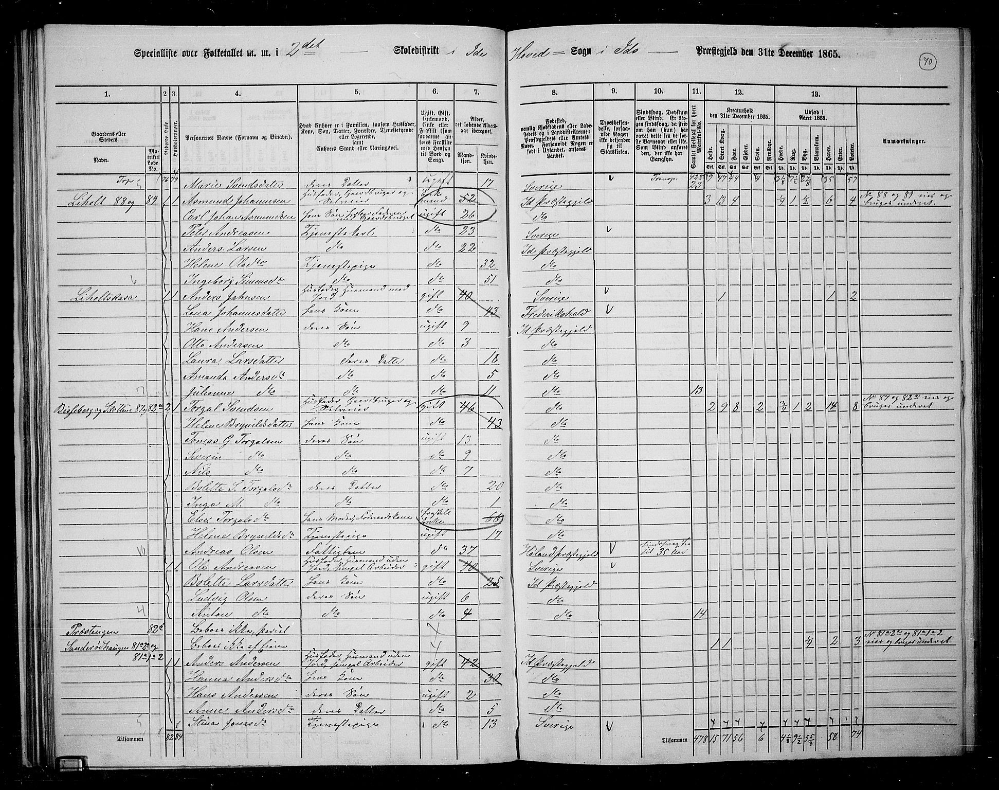 RA, 1865 census for Idd, 1865, p. 62