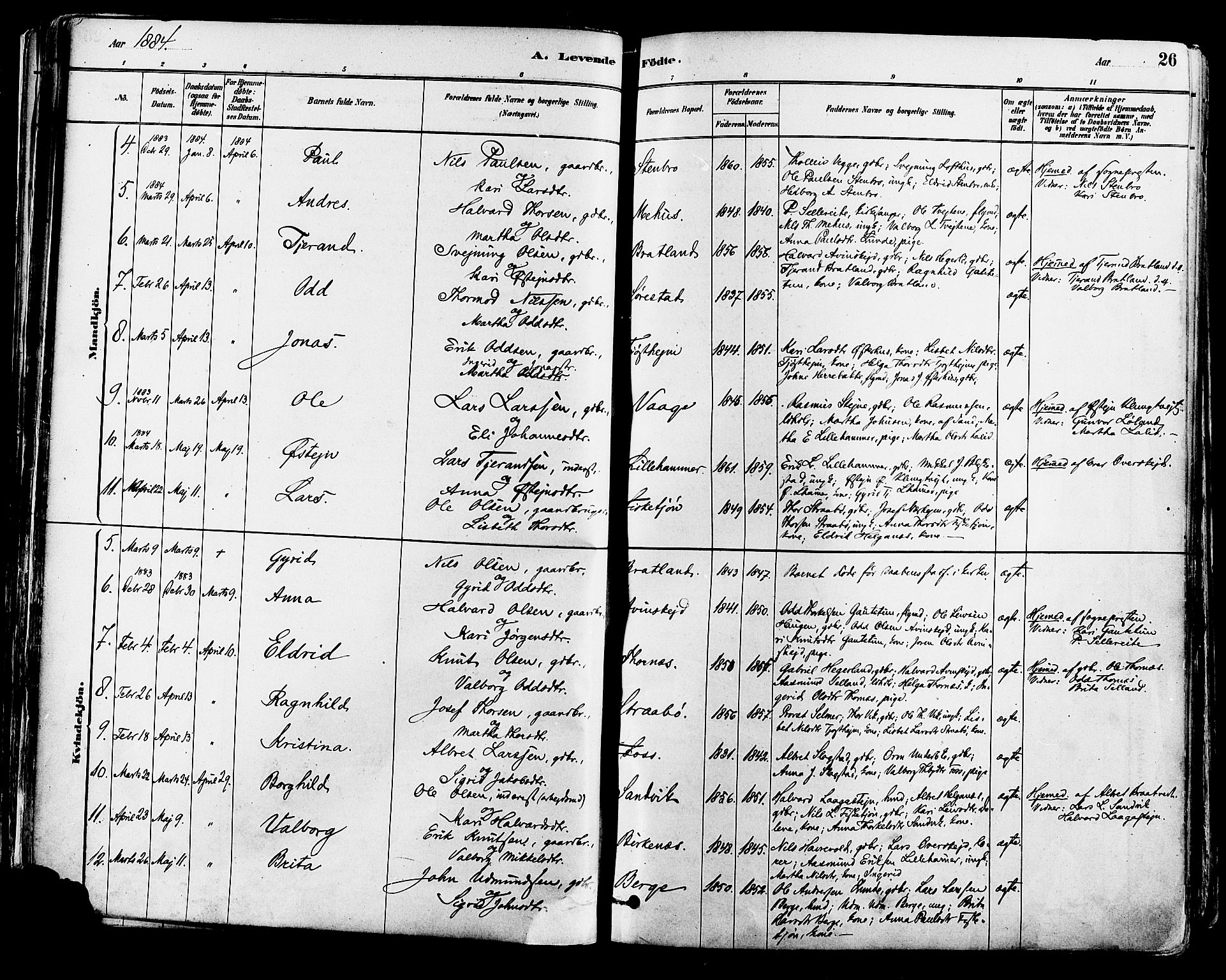 Suldal sokneprestkontor, AV/SAST-A-101845/01/IV/L0011: Parish register (official) no. A 11, 1878-1900, p. 26