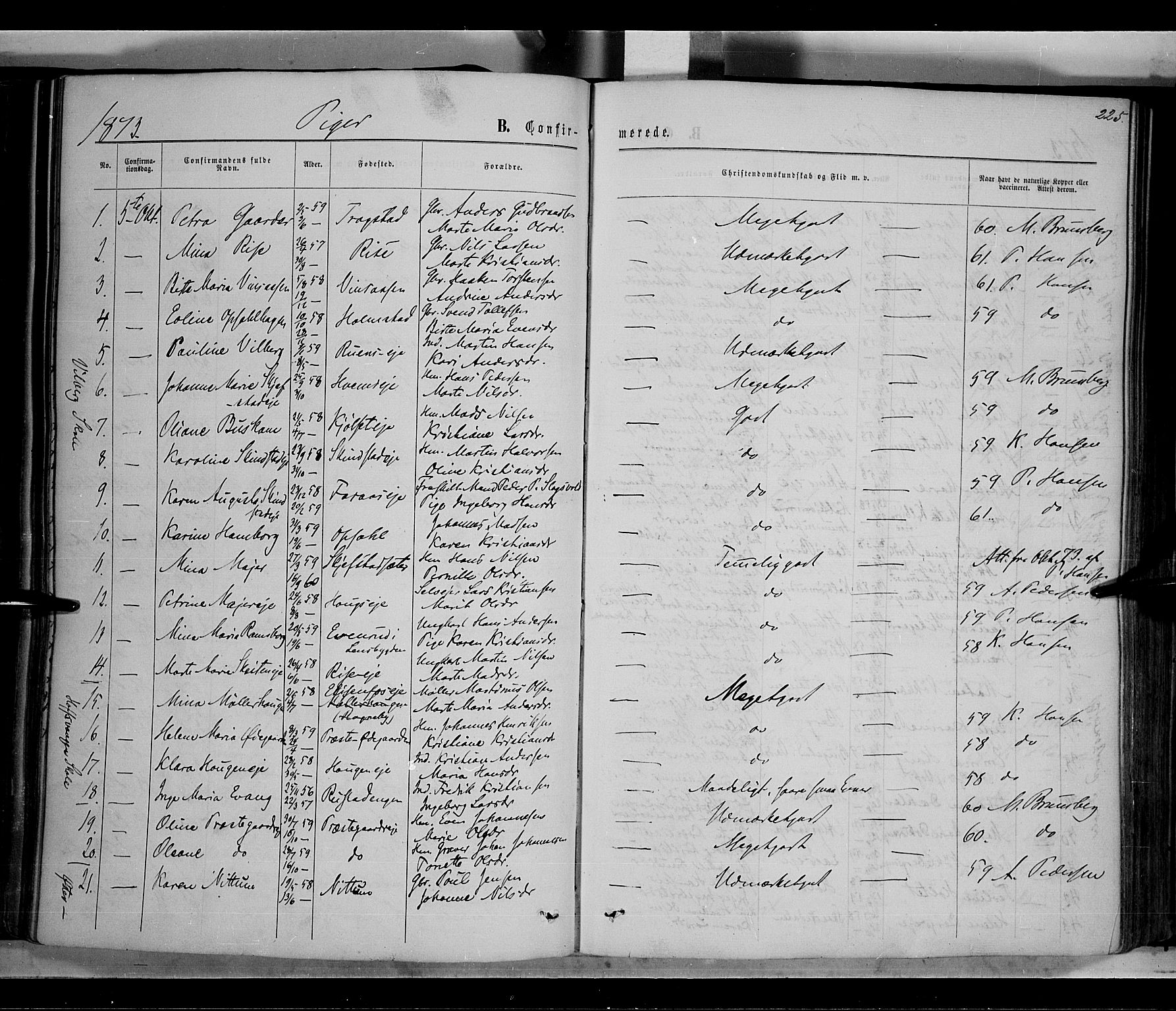 Østre Toten prestekontor, SAH/PREST-104/H/Ha/Haa/L0005: Parish register (official) no. 5, 1866-1877, p. 225