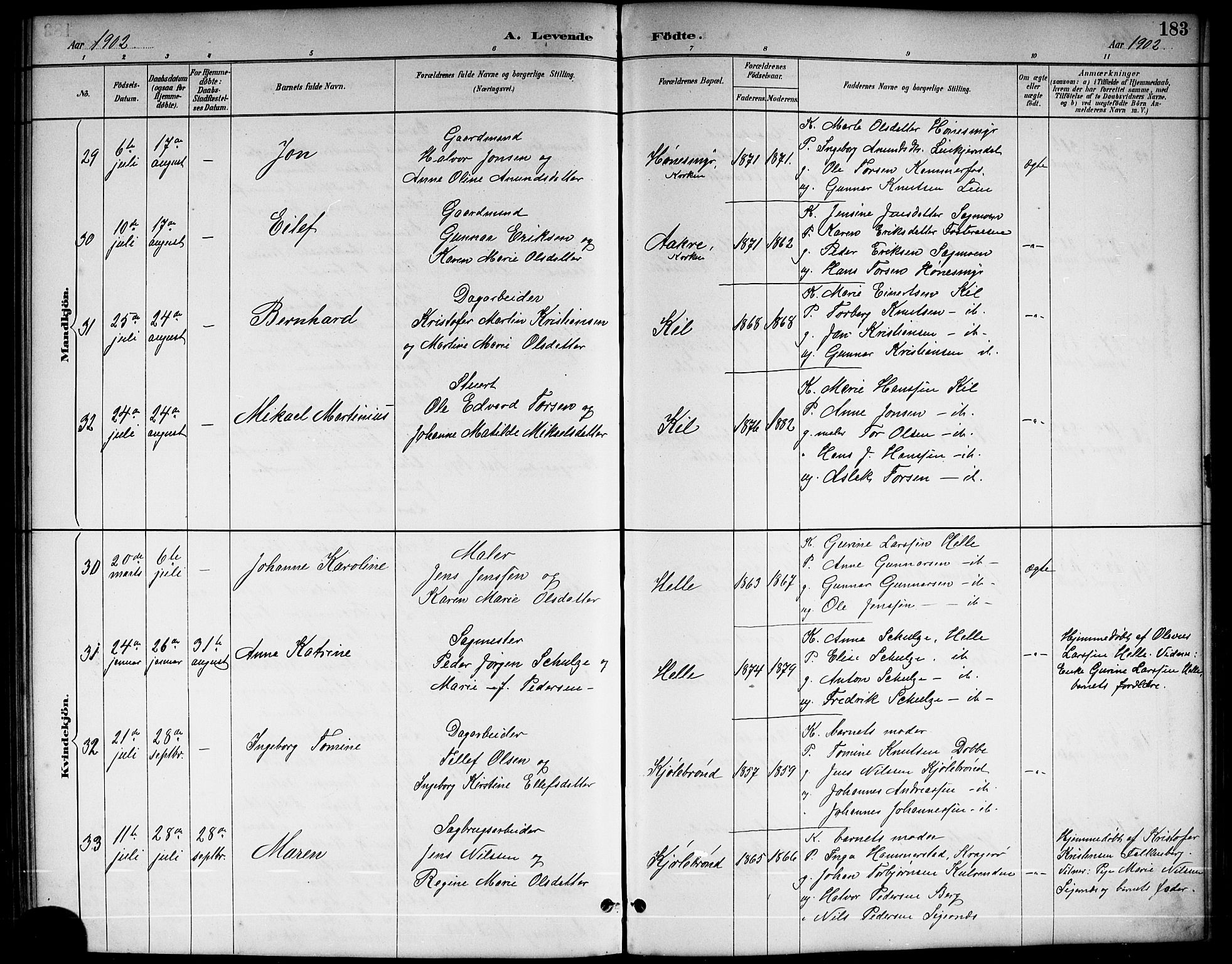 Sannidal kirkebøker, AV/SAKO-A-296/G/Ga/L0003: Parish register (copy) no. 3, 1887-1922, p. 183