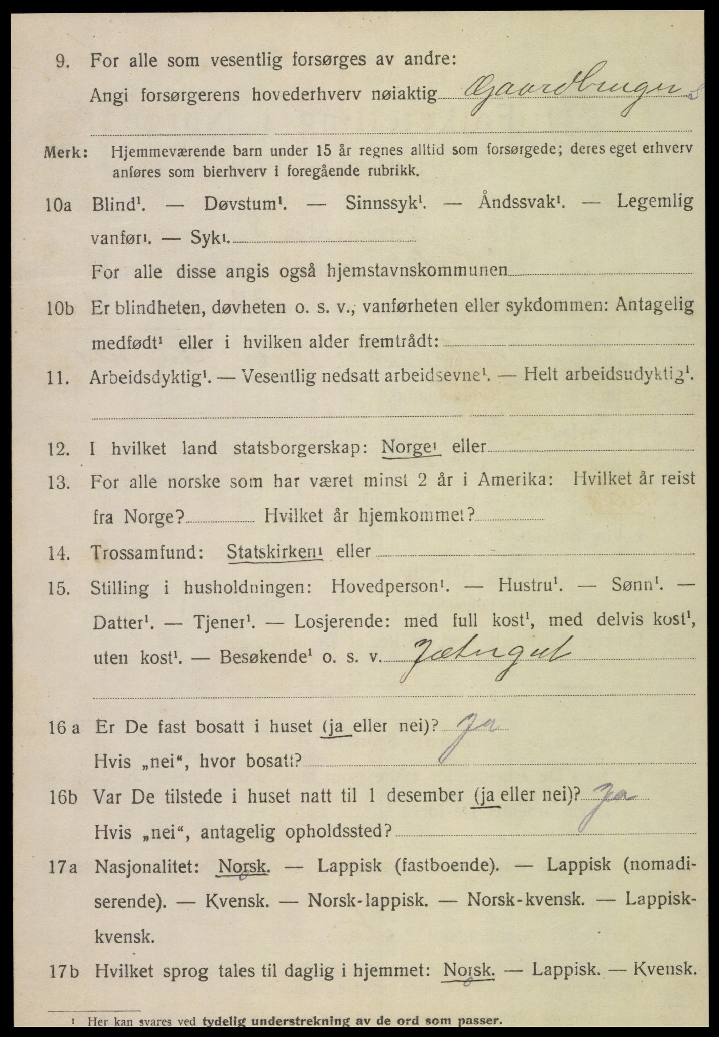 SAT, 1920 census for Sørli, 1920, p. 1072