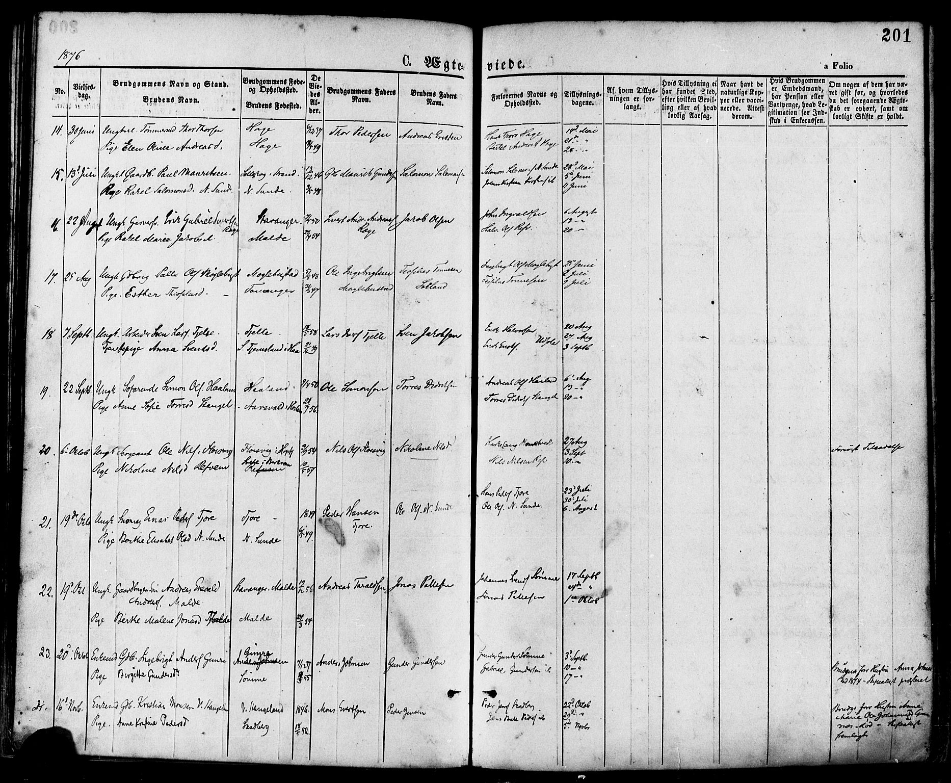 Håland sokneprestkontor, AV/SAST-A-101802/001/30BA/L0009: Parish register (official) no. A 8, 1871-1882, p. 201