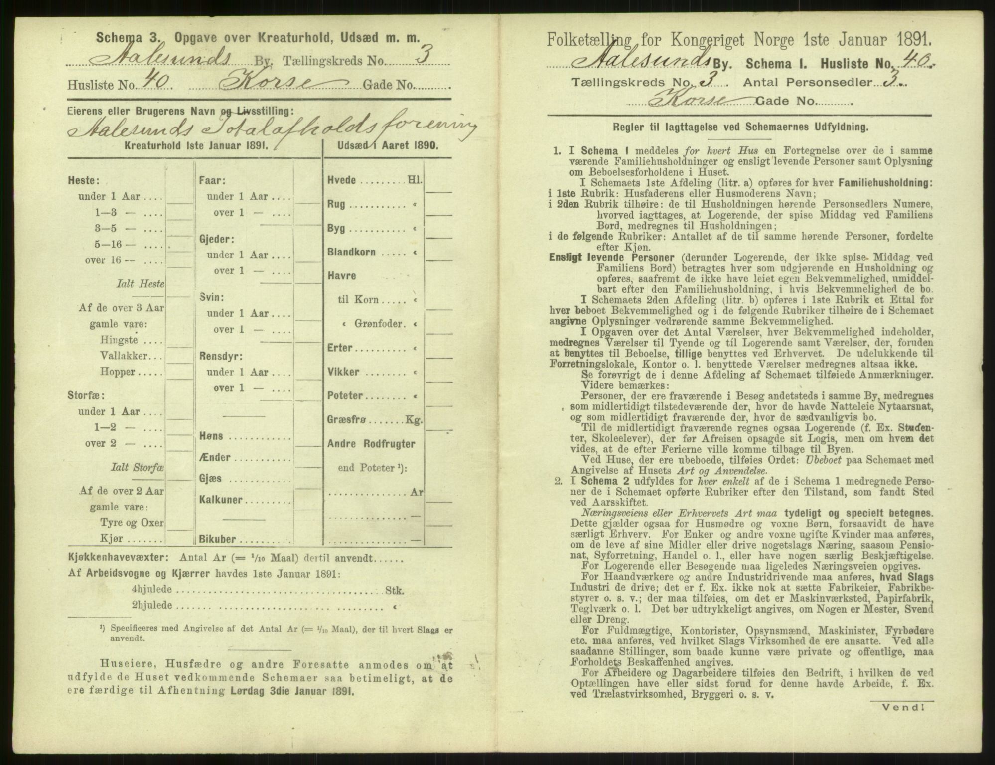 RA, 1891 census for 1501 Ålesund, 1891, p. 286