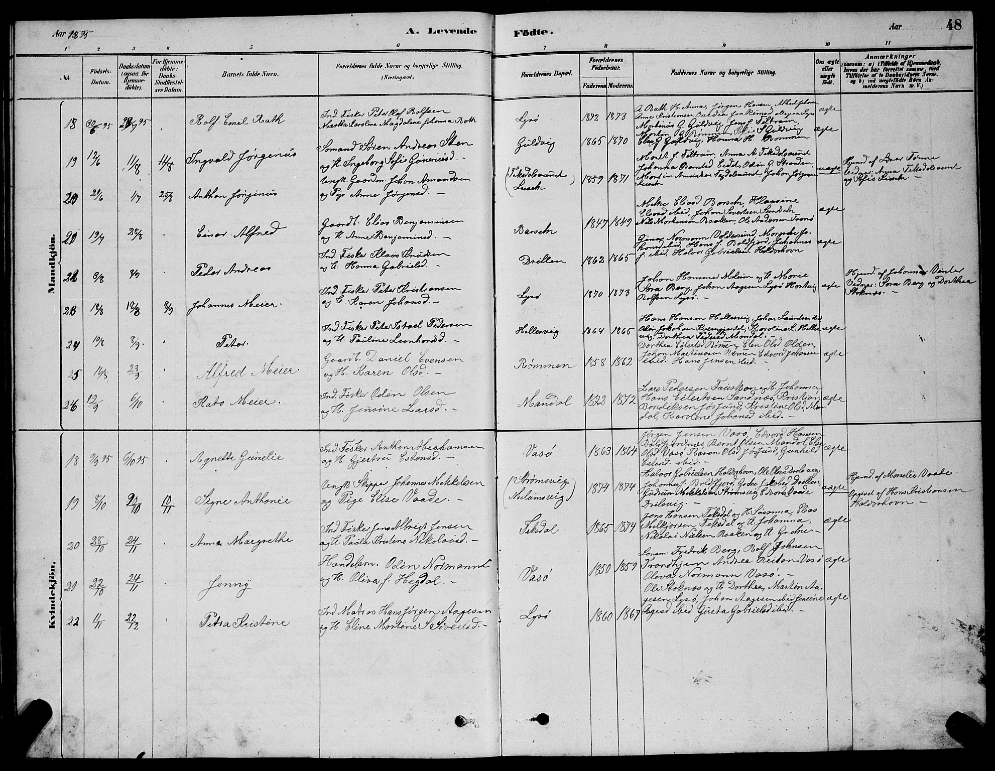 Ministerialprotokoller, klokkerbøker og fødselsregistre - Sør-Trøndelag, AV/SAT-A-1456/654/L0665: Parish register (copy) no. 654C01, 1879-1901, p. 48