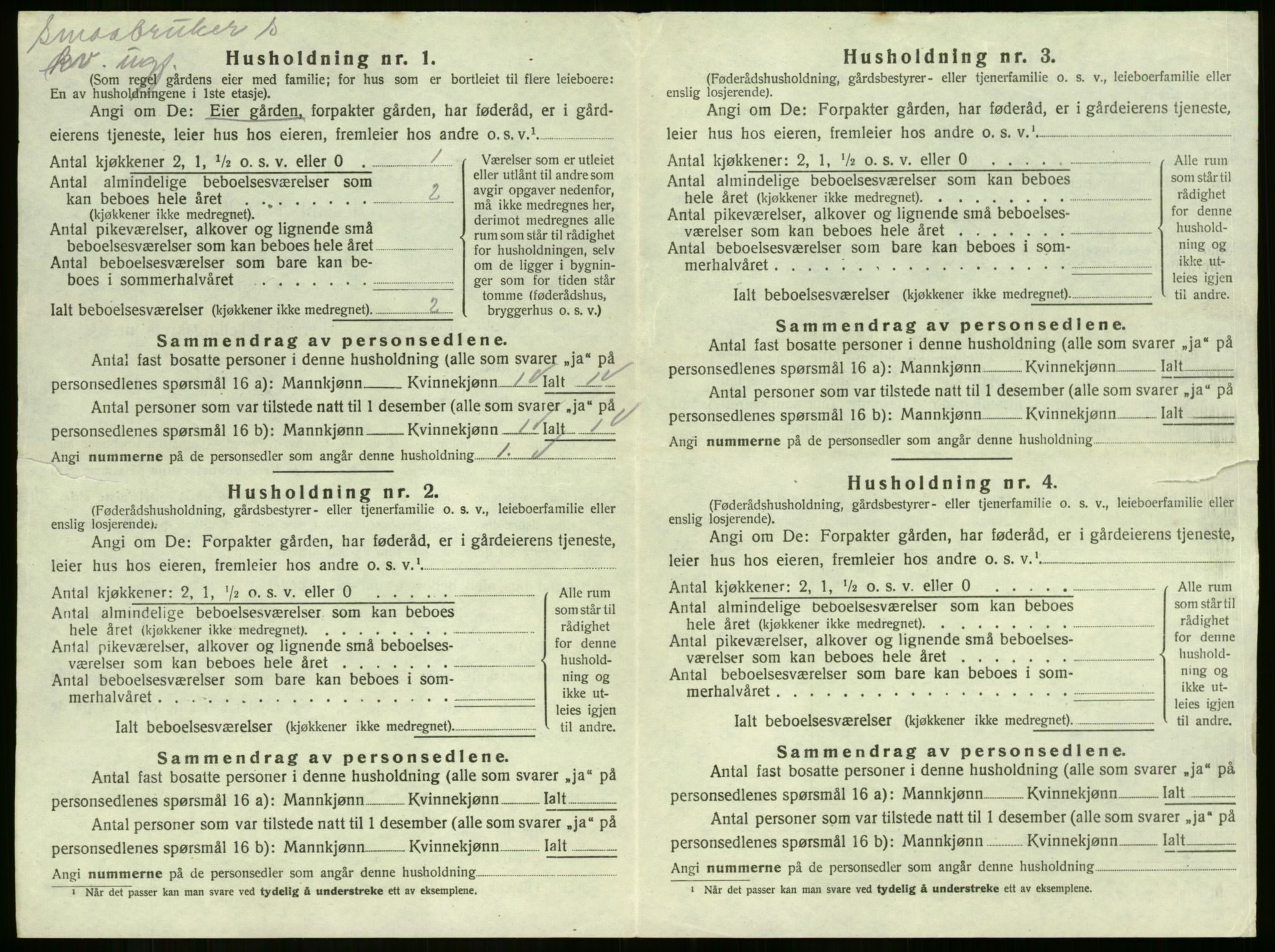 SAKO, 1920 census for Strømm, 1920, p. 429