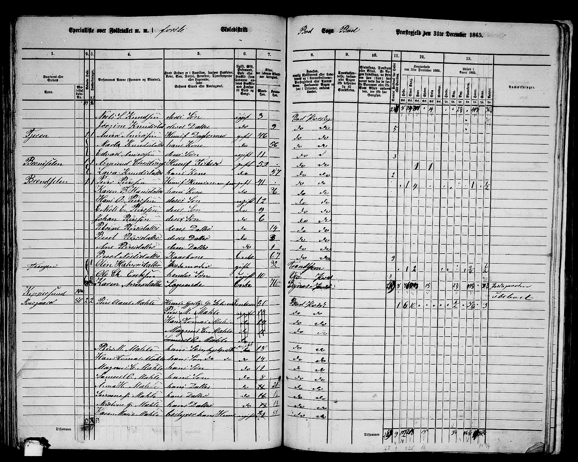 RA, 1865 census for Bud, 1865, p. 66