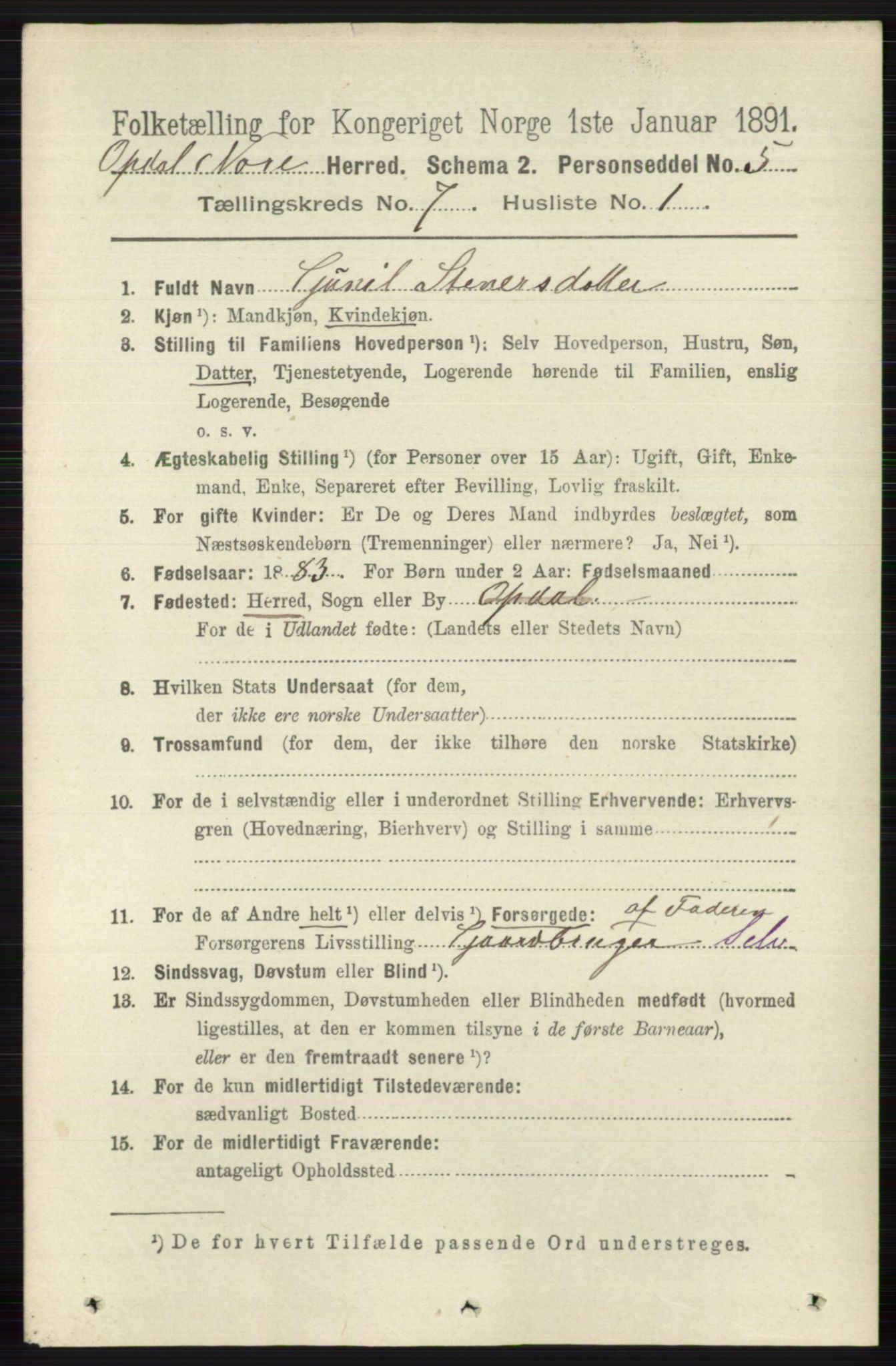 RA, 1891 census for 0633 Nore, 1891, p. 2610