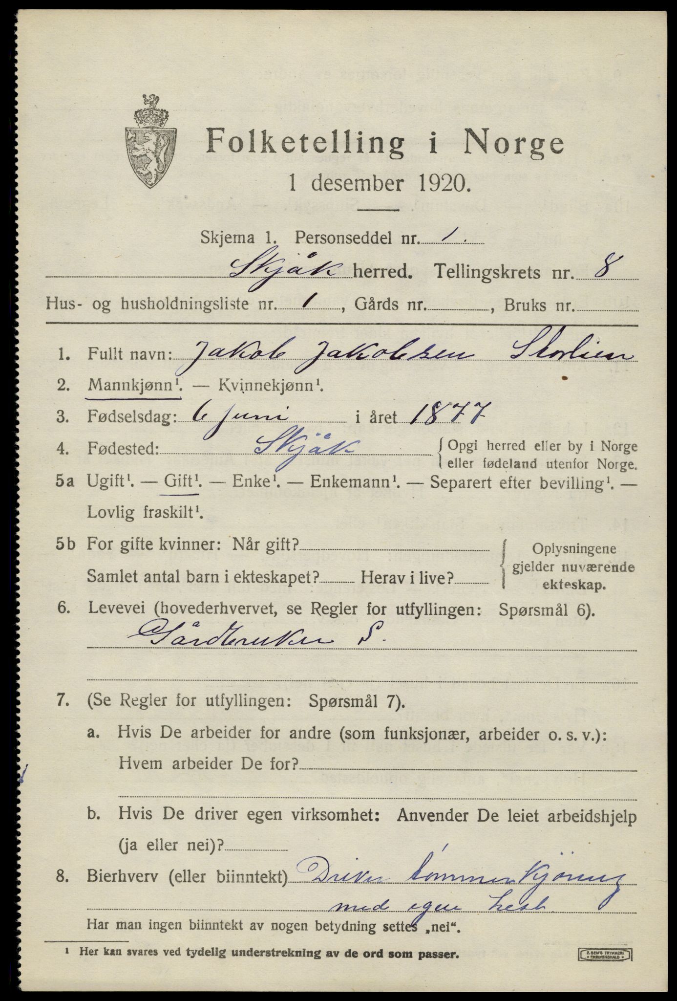 SAH, 1920 census for Skjåk, 1920, p. 3718