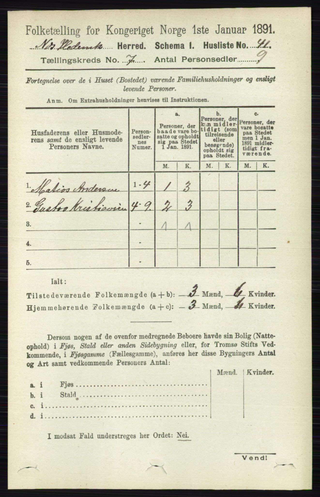 RA, 1891 census for 0411 Nes, 1891, p. 3869