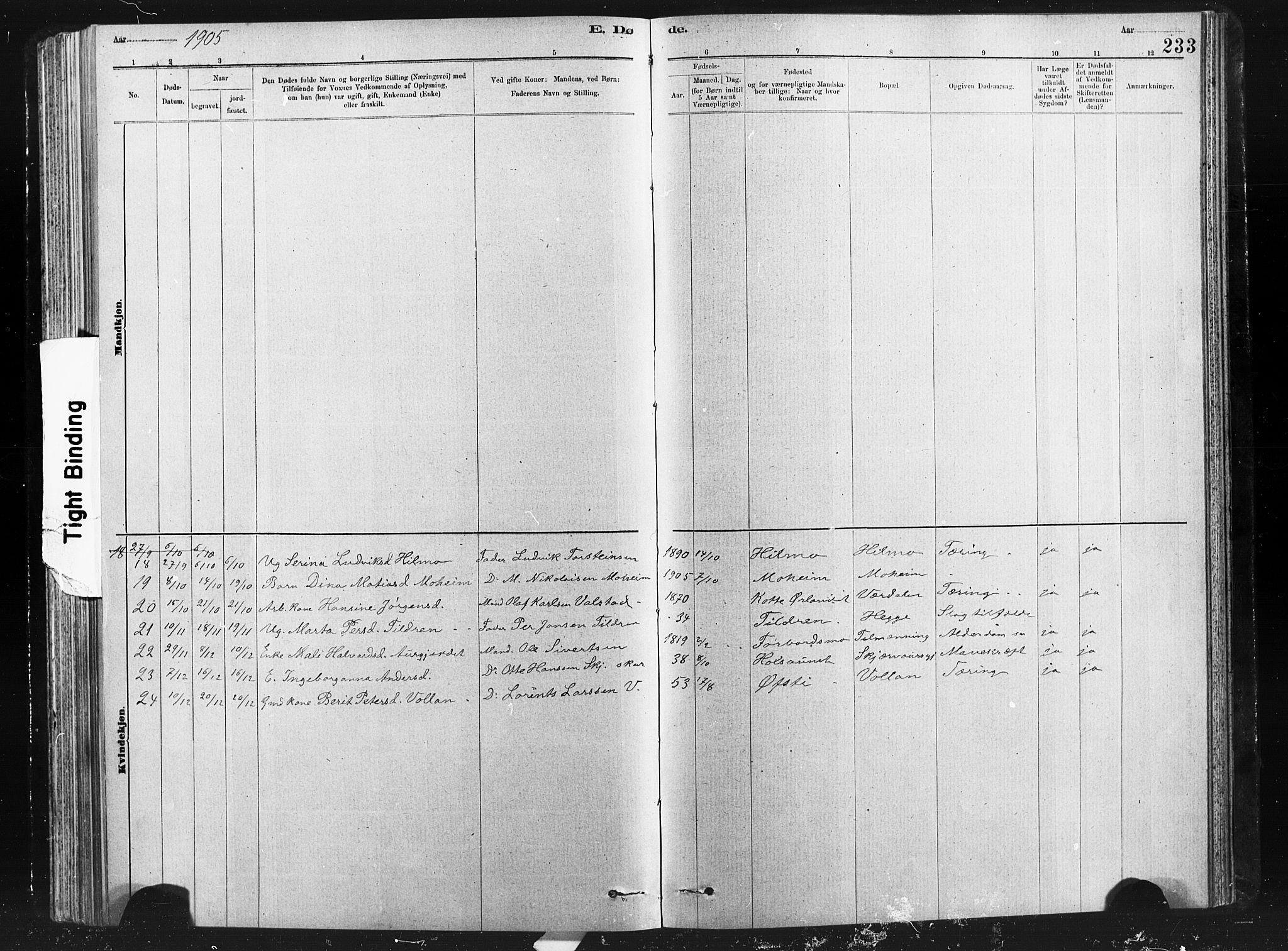 Ministerialprotokoller, klokkerbøker og fødselsregistre - Nord-Trøndelag, AV/SAT-A-1458/712/L0103: Parish register (copy) no. 712C01, 1878-1917, p. 233