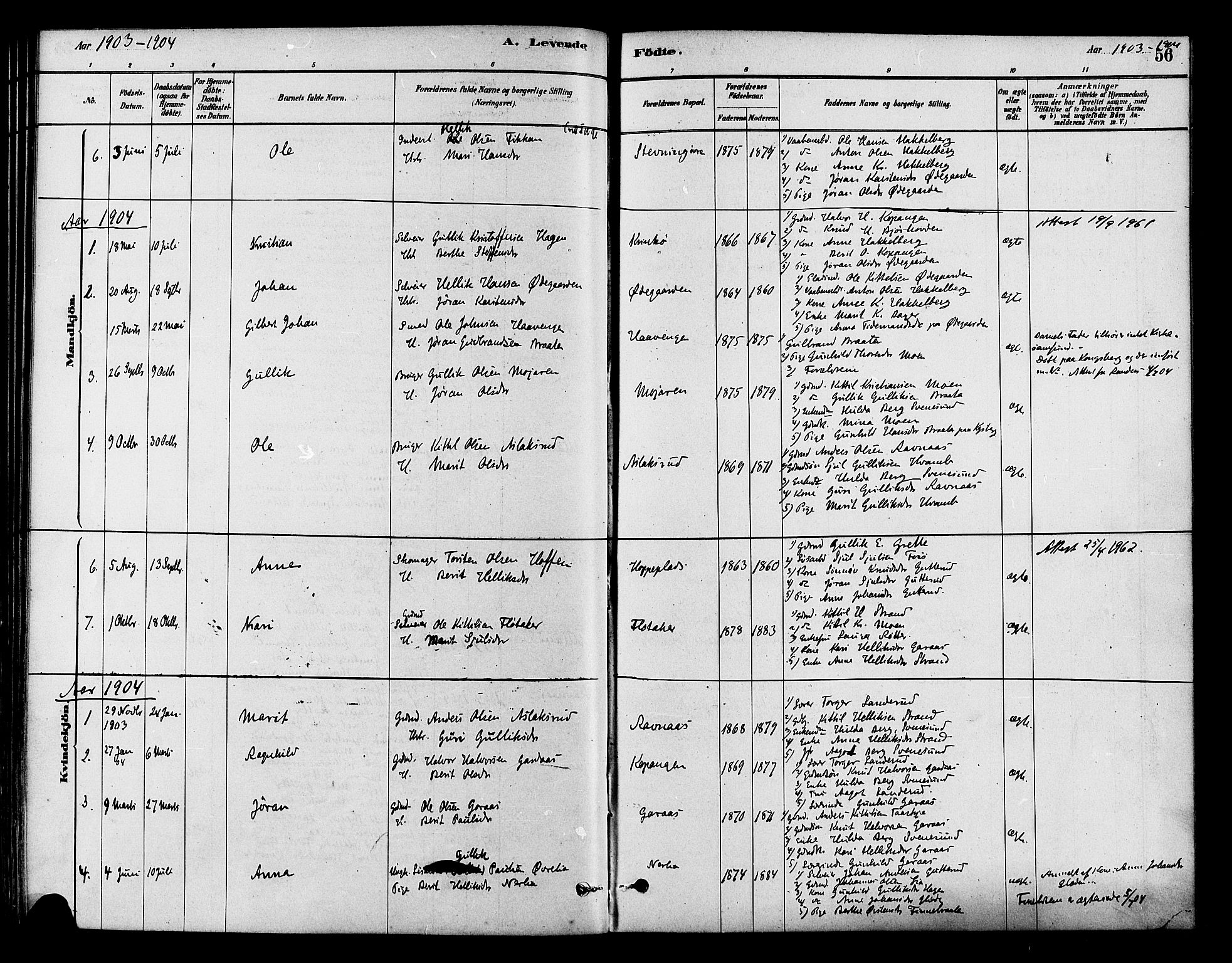 Flesberg kirkebøker, AV/SAKO-A-18/F/Fb/L0001: Parish register (official) no. II 1, 1879-1907, p. 56