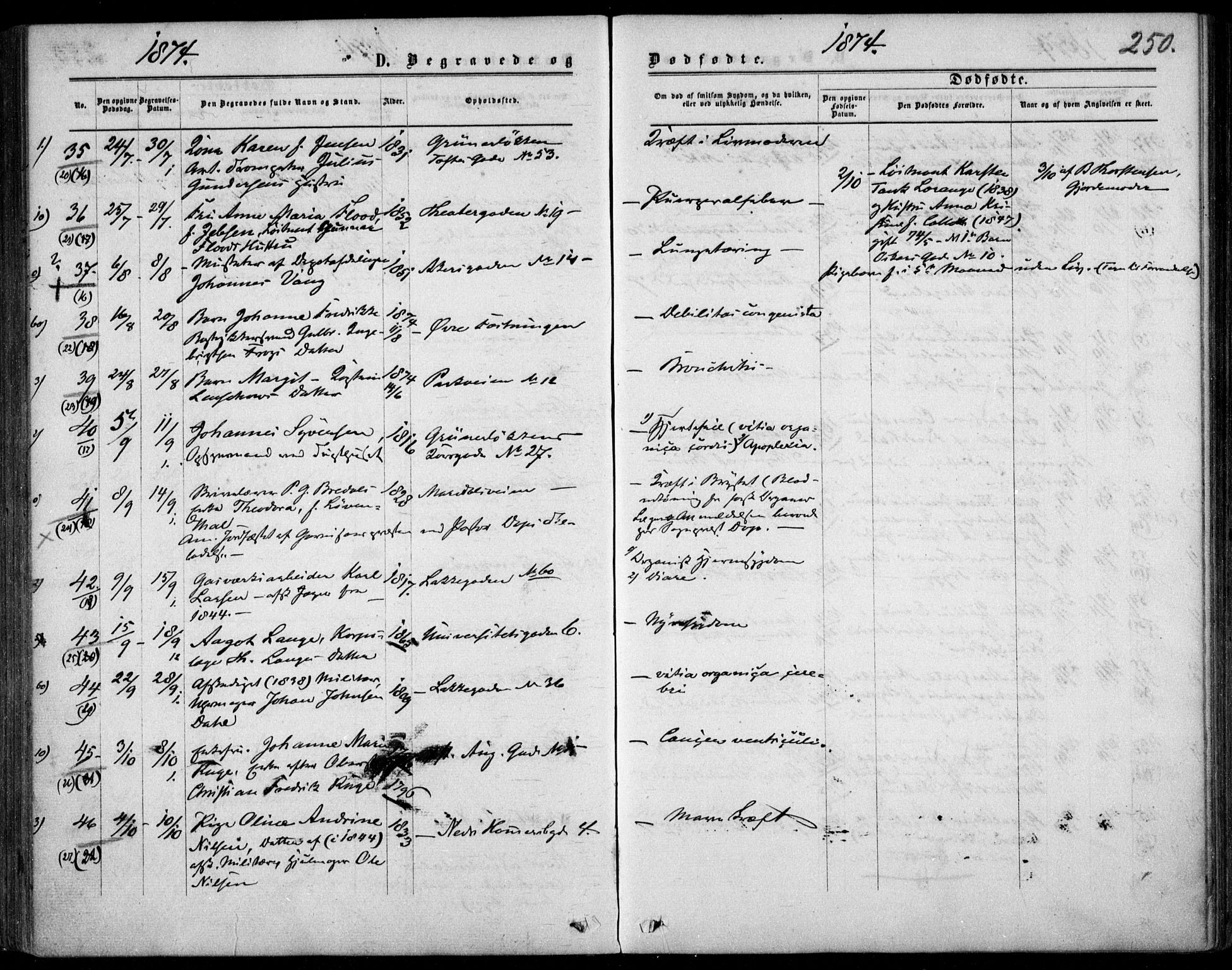 Garnisonsmenigheten Kirkebøker, AV/SAO-A-10846/F/Fa/L0011: Parish register (official) no. 11, 1870-1880, p. 250