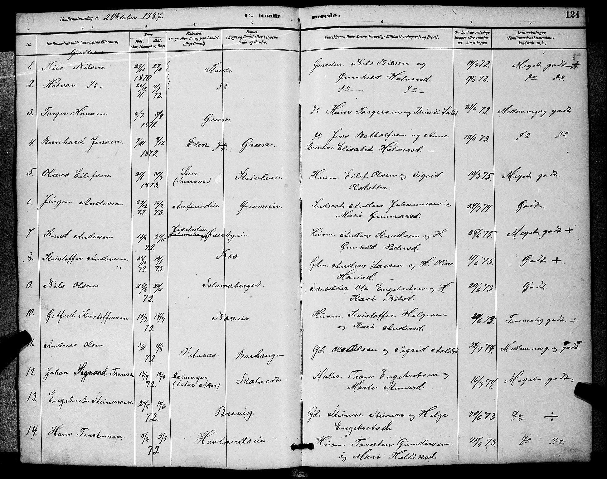 Sigdal kirkebøker, SAKO/A-245/G/Ga/L0005: Parish register (copy) no. I 5, 1886-1900, p. 124