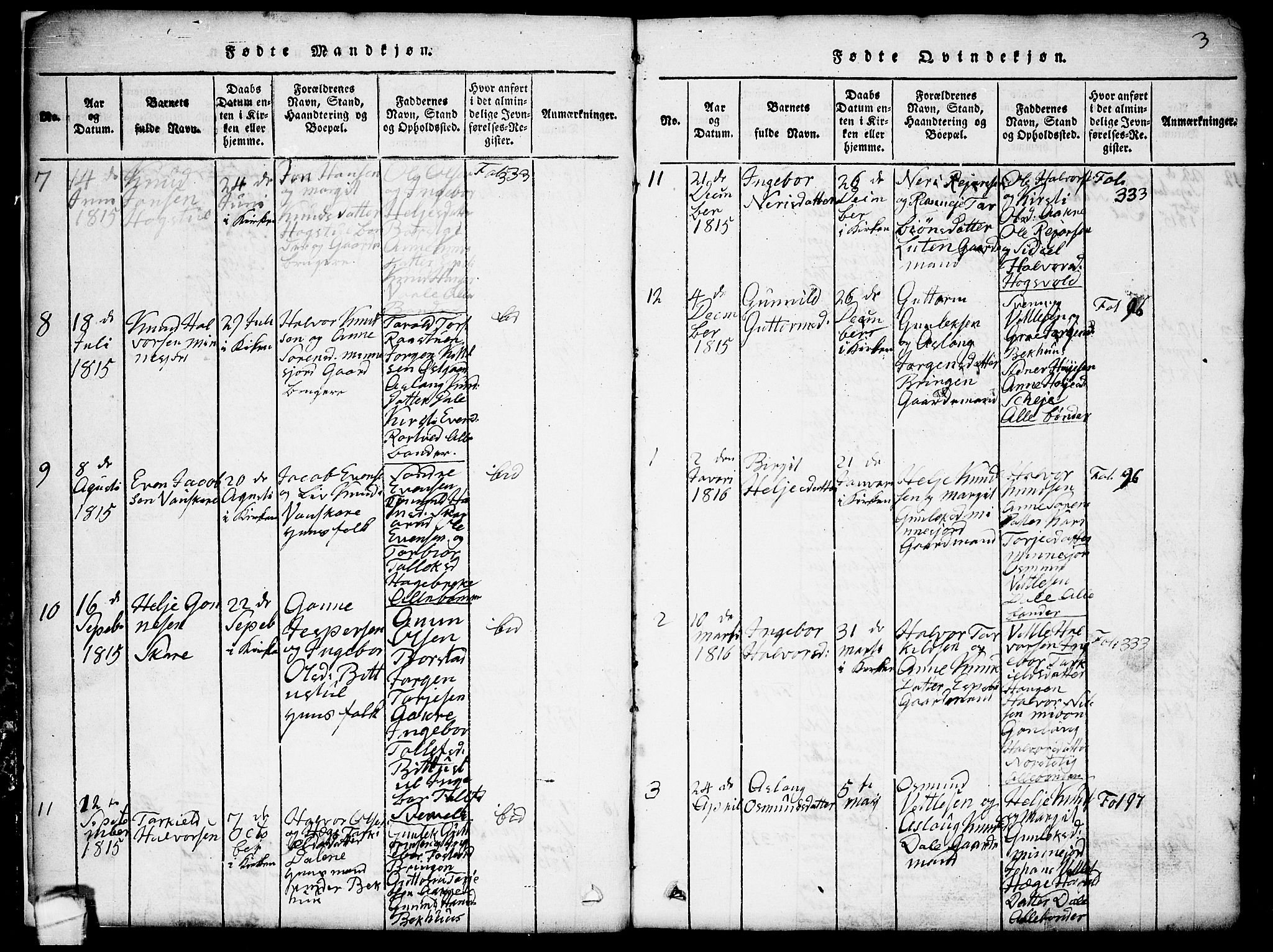 Seljord kirkebøker, SAKO/A-20/G/Gb/L0002: Parish register (copy) no. II 2, 1815-1854, p. 3