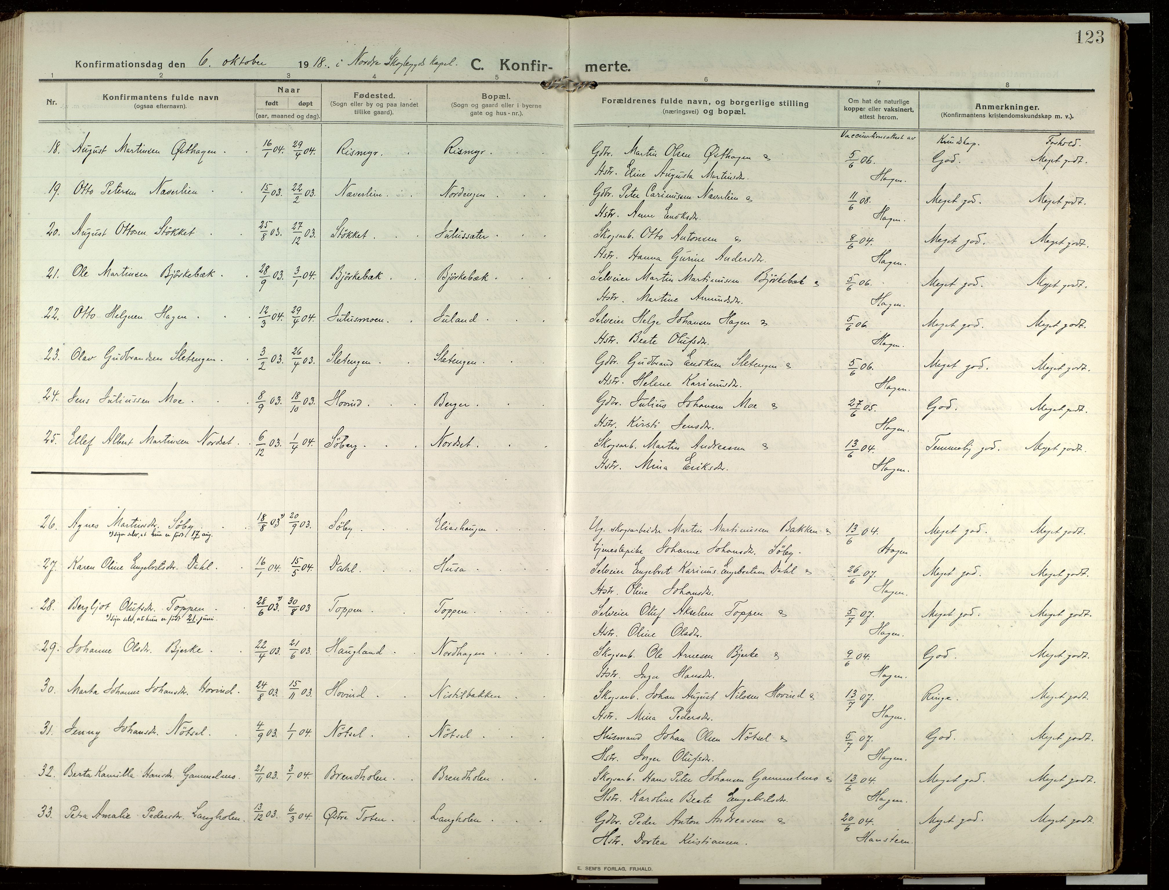 Elverum prestekontor, AV/SAH-PREST-044/H/Ha/Haa/L0022: Parish register (official) no. 22, 1913-1924, p. 123