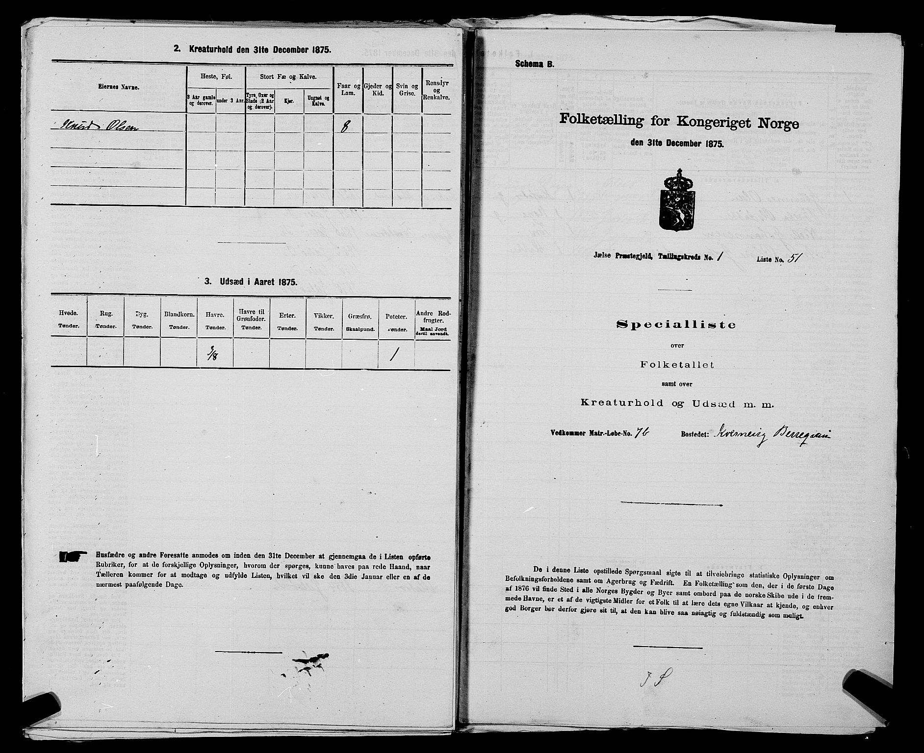 SAST, 1875 census for 1138P Jelsa, 1875, p. 108