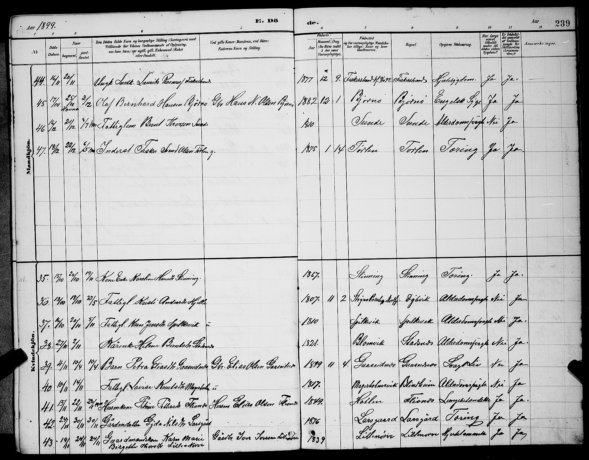 Ministerialprotokoller, klokkerbøker og fødselsregistre - Møre og Romsdal, SAT/A-1454/528/L0430: Parish register (copy) no. 528C11, 1884-1899, p. 239