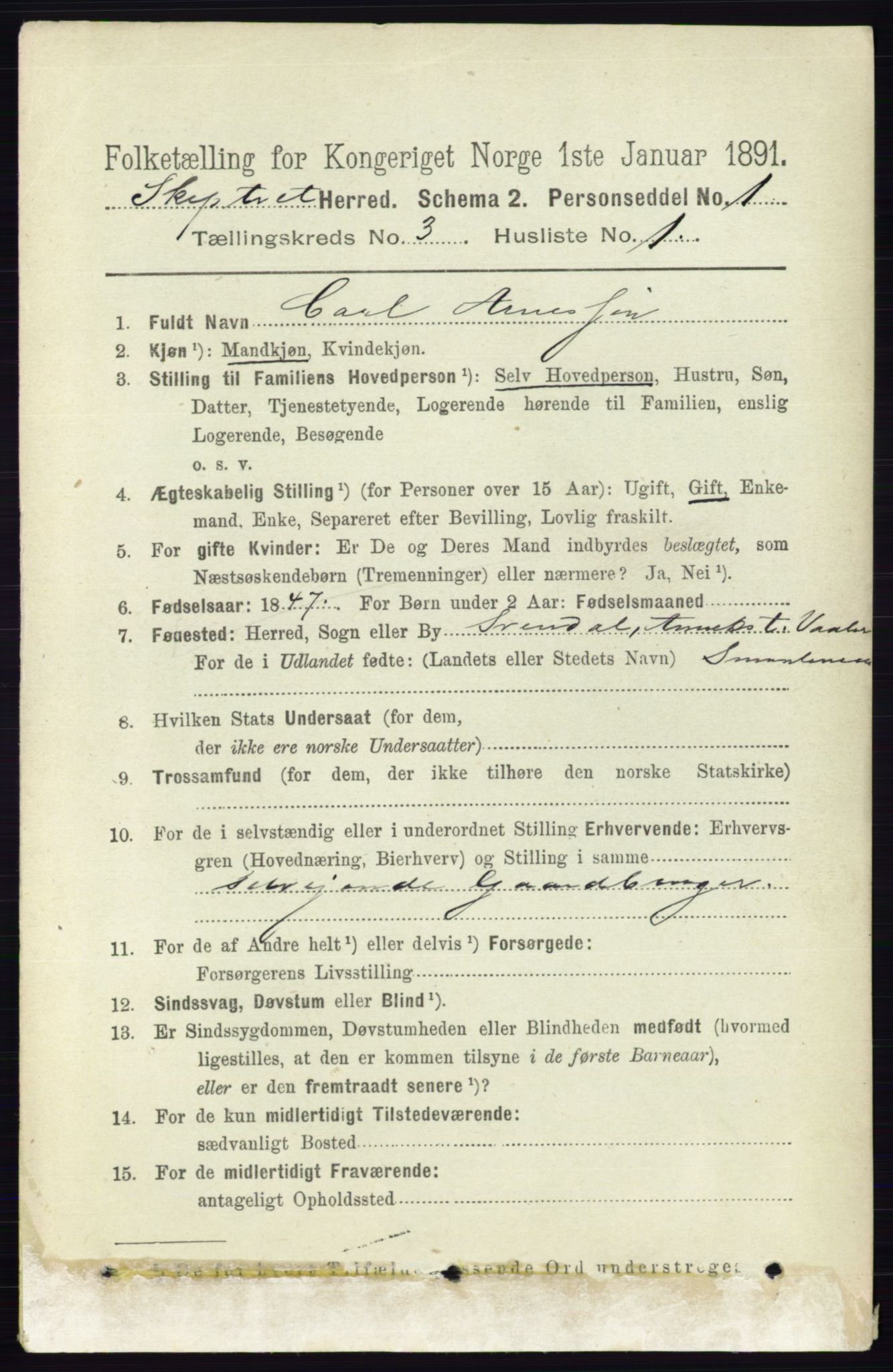 RA, 1891 census for 0127 Skiptvet, 1891, p. 1233