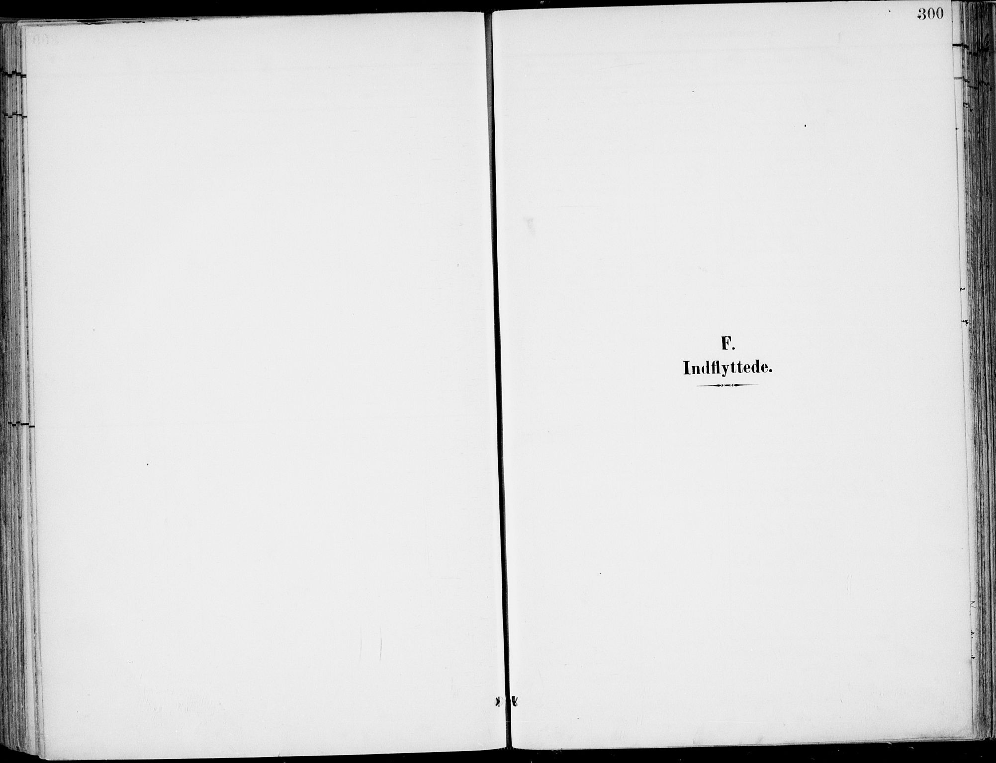 Røyken kirkebøker, SAKO/A-241/F/Fa/L0009: Parish register (official) no. 9, 1898-1911, p. 300